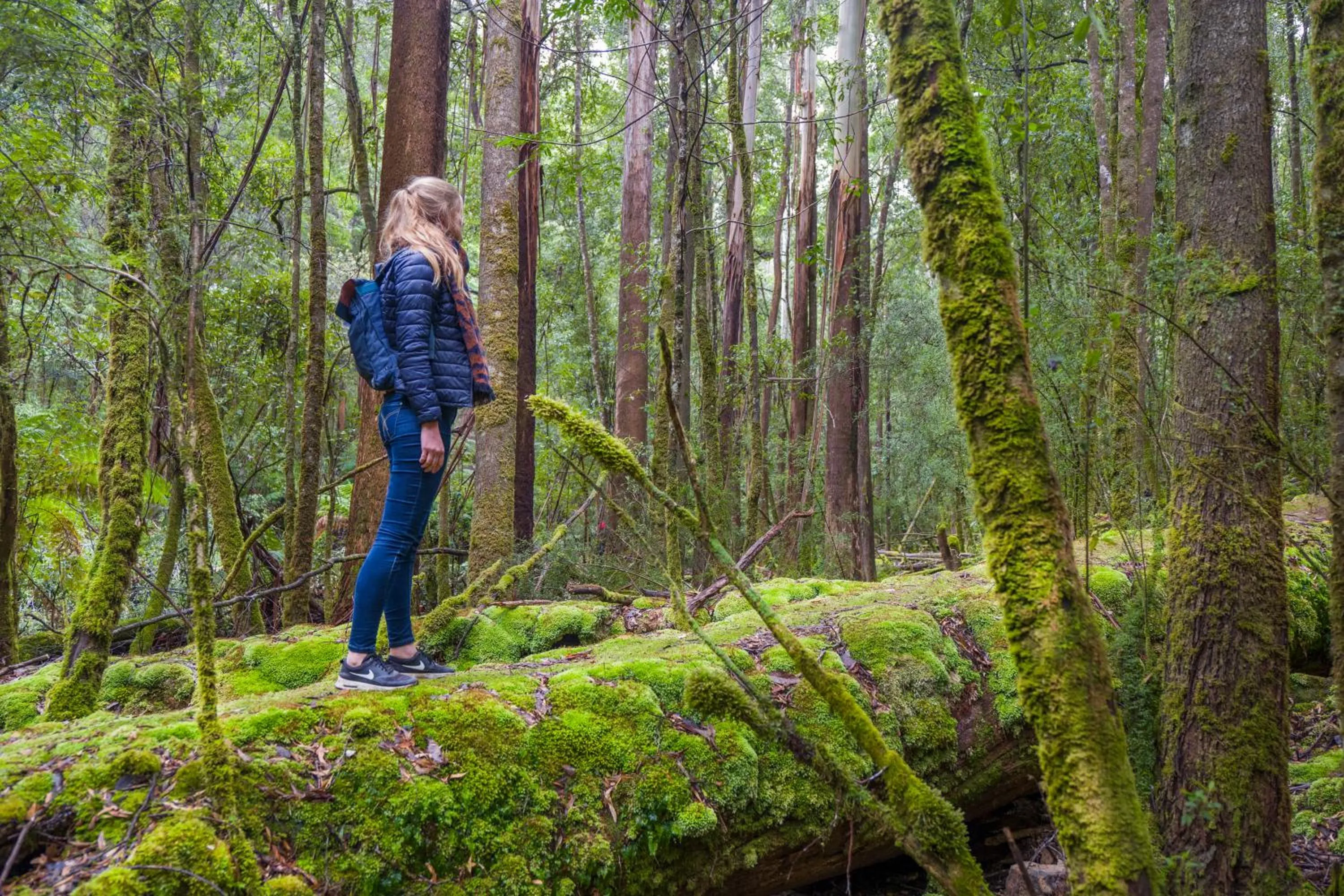 Nearby landmark in YHA Hobart Central