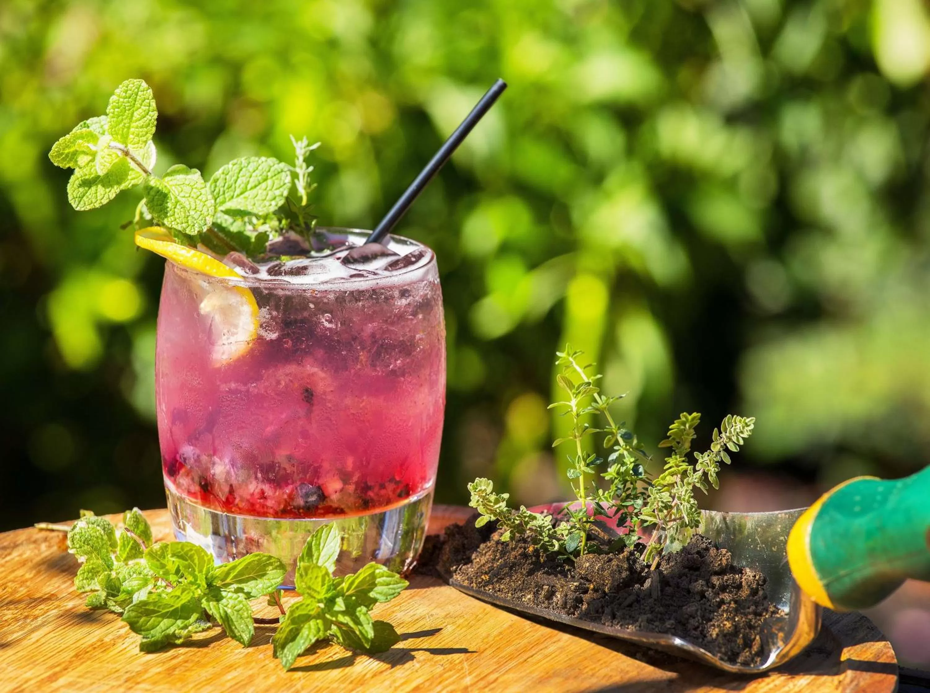 Restaurant/places to eat in Hilton Wilmington/Christiana