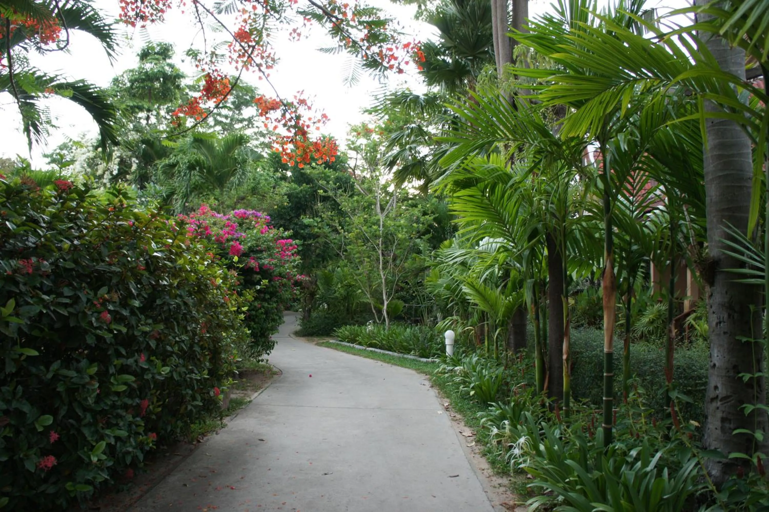 Garden in Palm Village