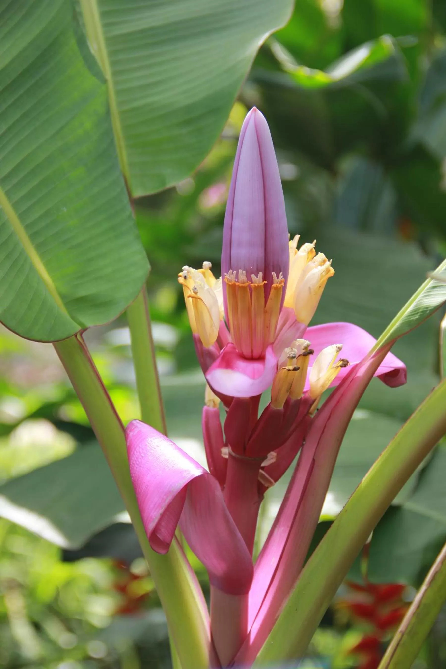 Other in Sun Creek Lodge