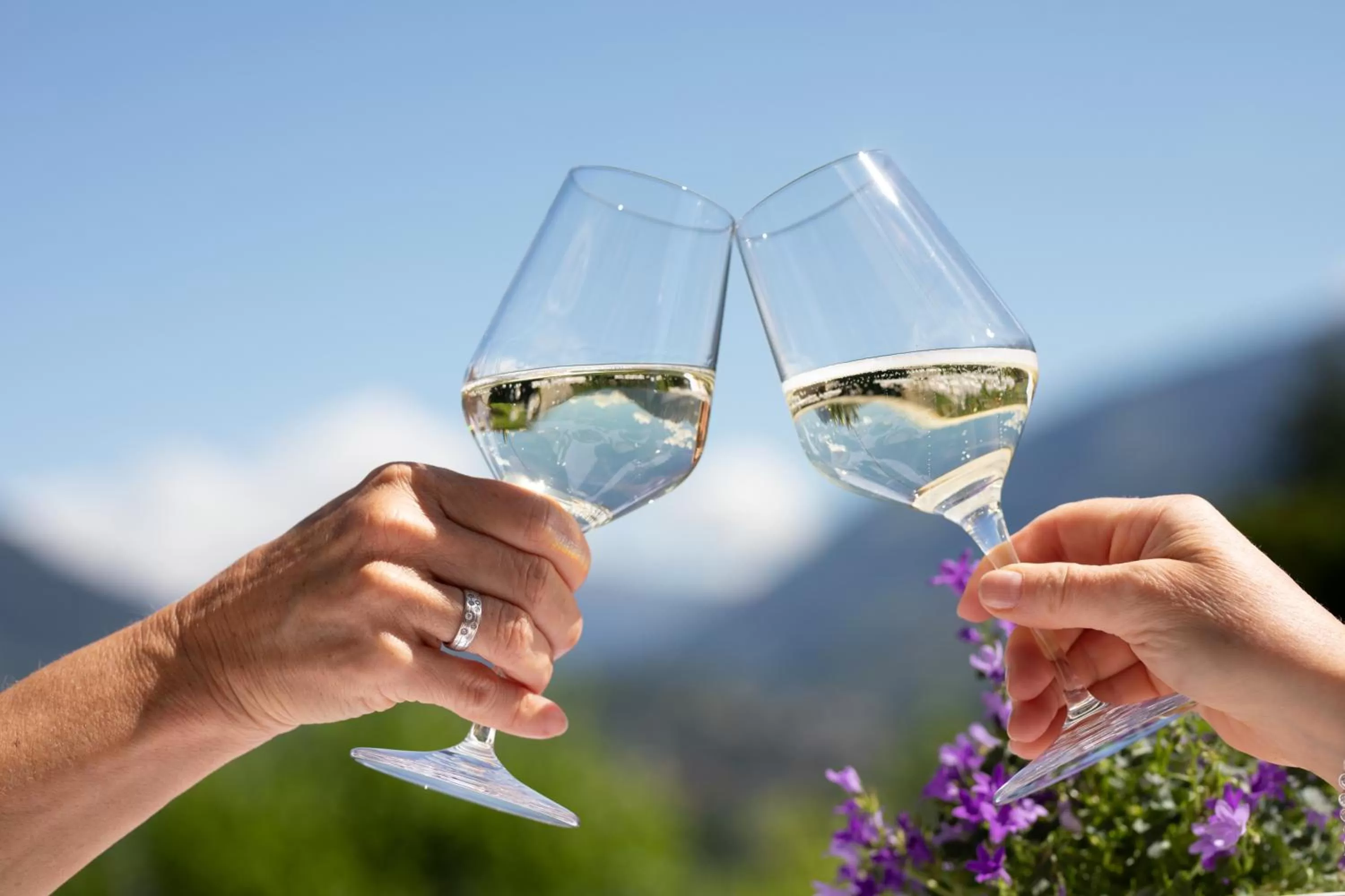 Garden view in Residence Margreth