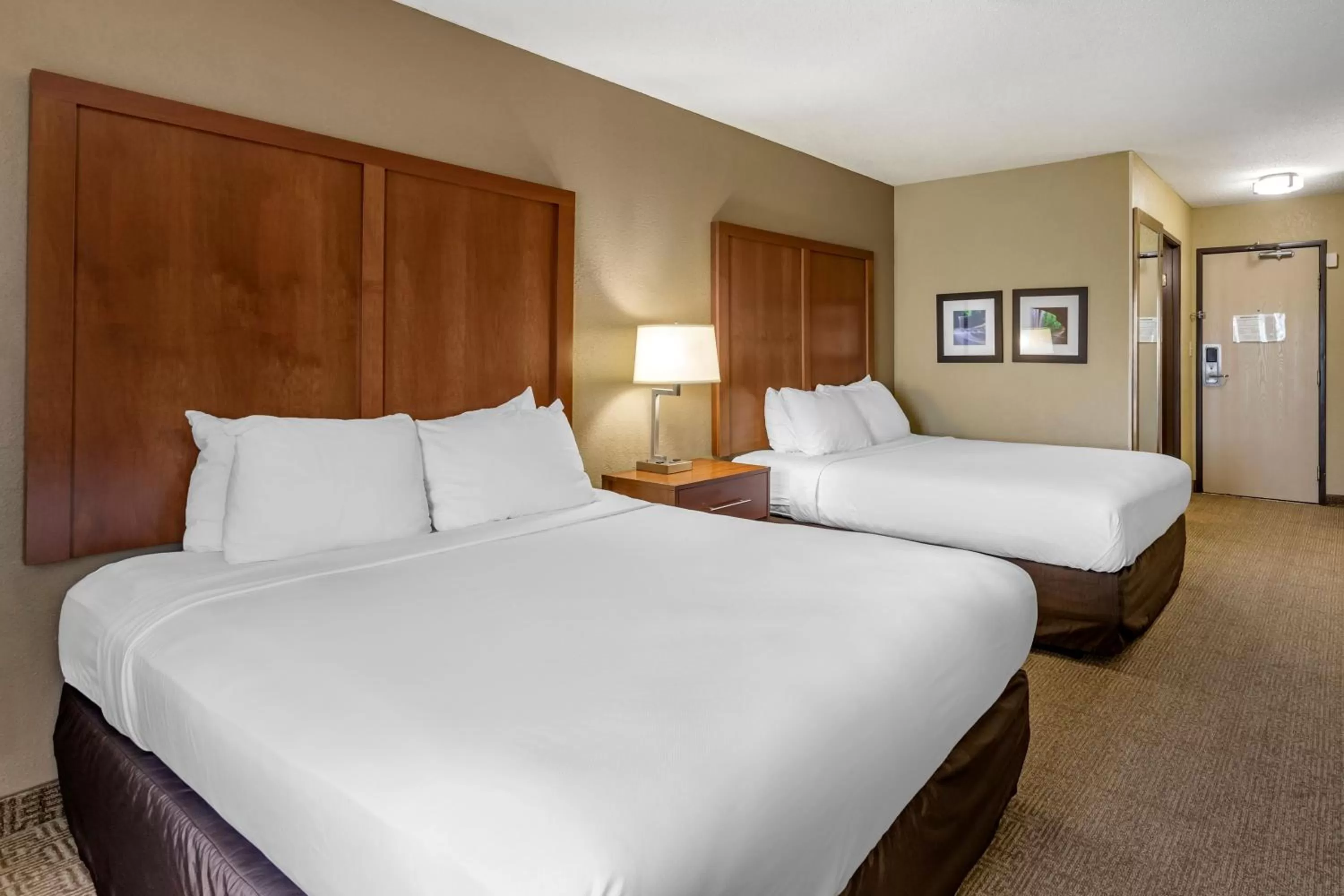 Bed in Comfort Inn Moline - Quad Cities
