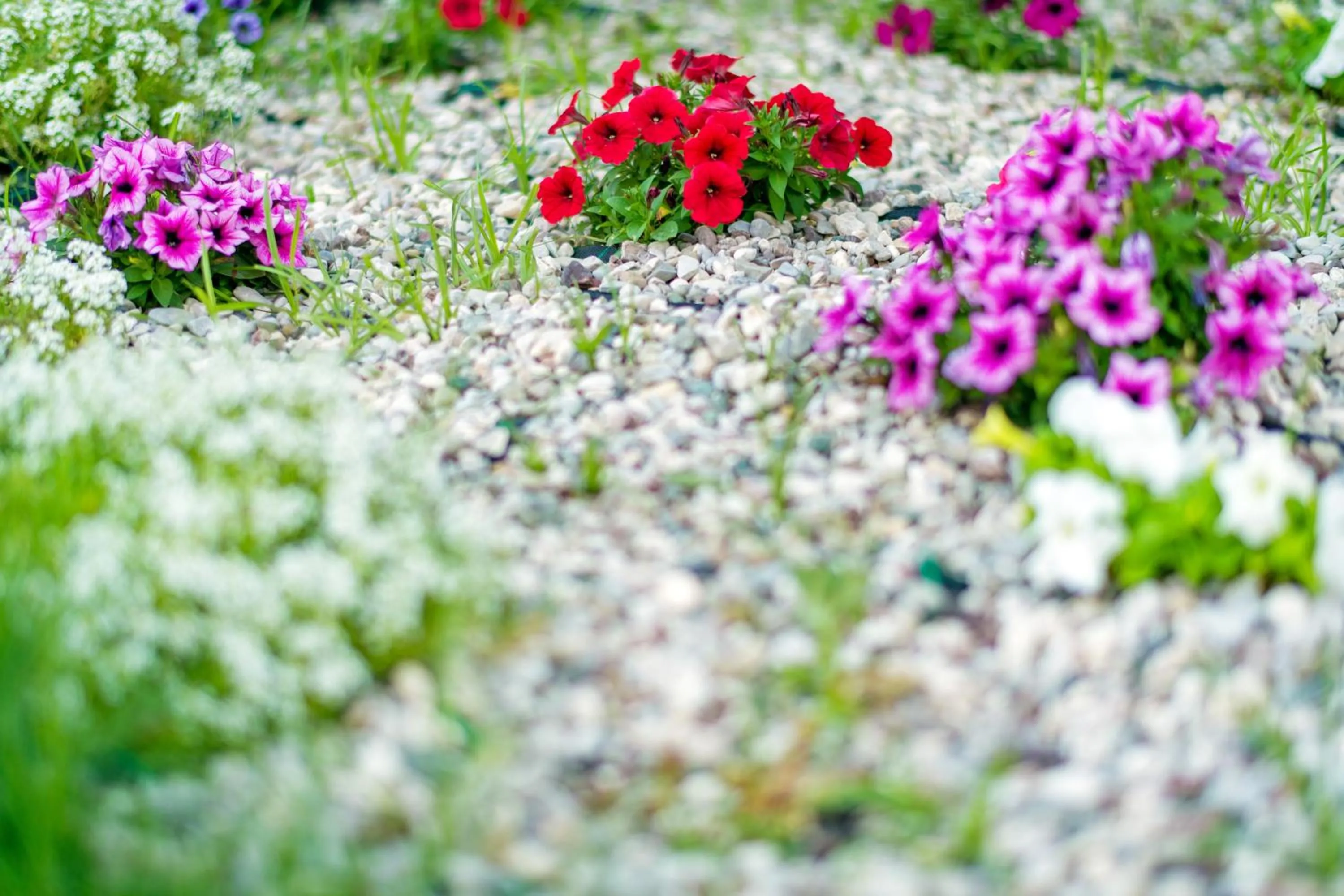 Day in Anthemion Suites and Villas