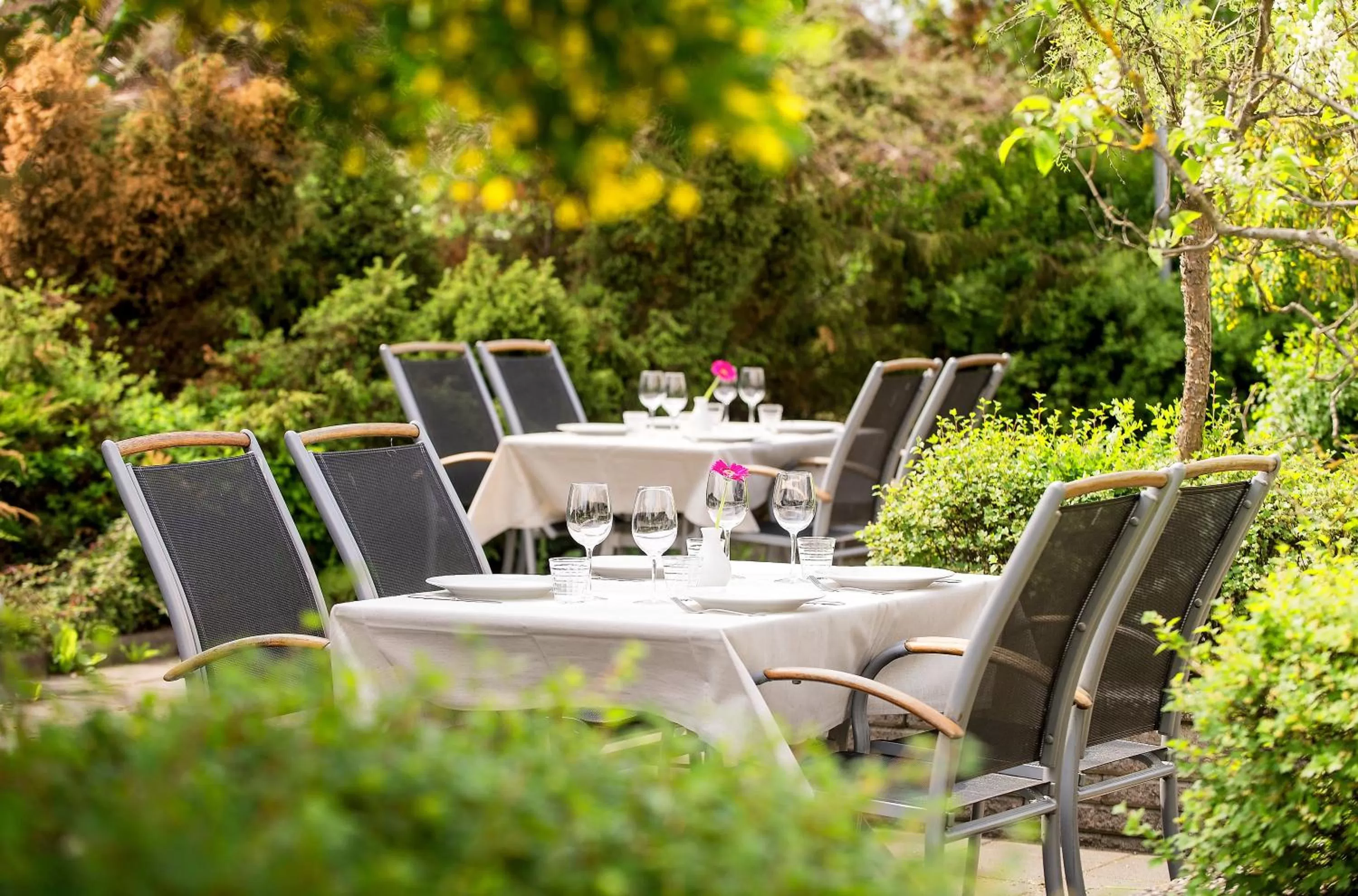 Restaurant/places to eat in Good Morning+ Hägersten