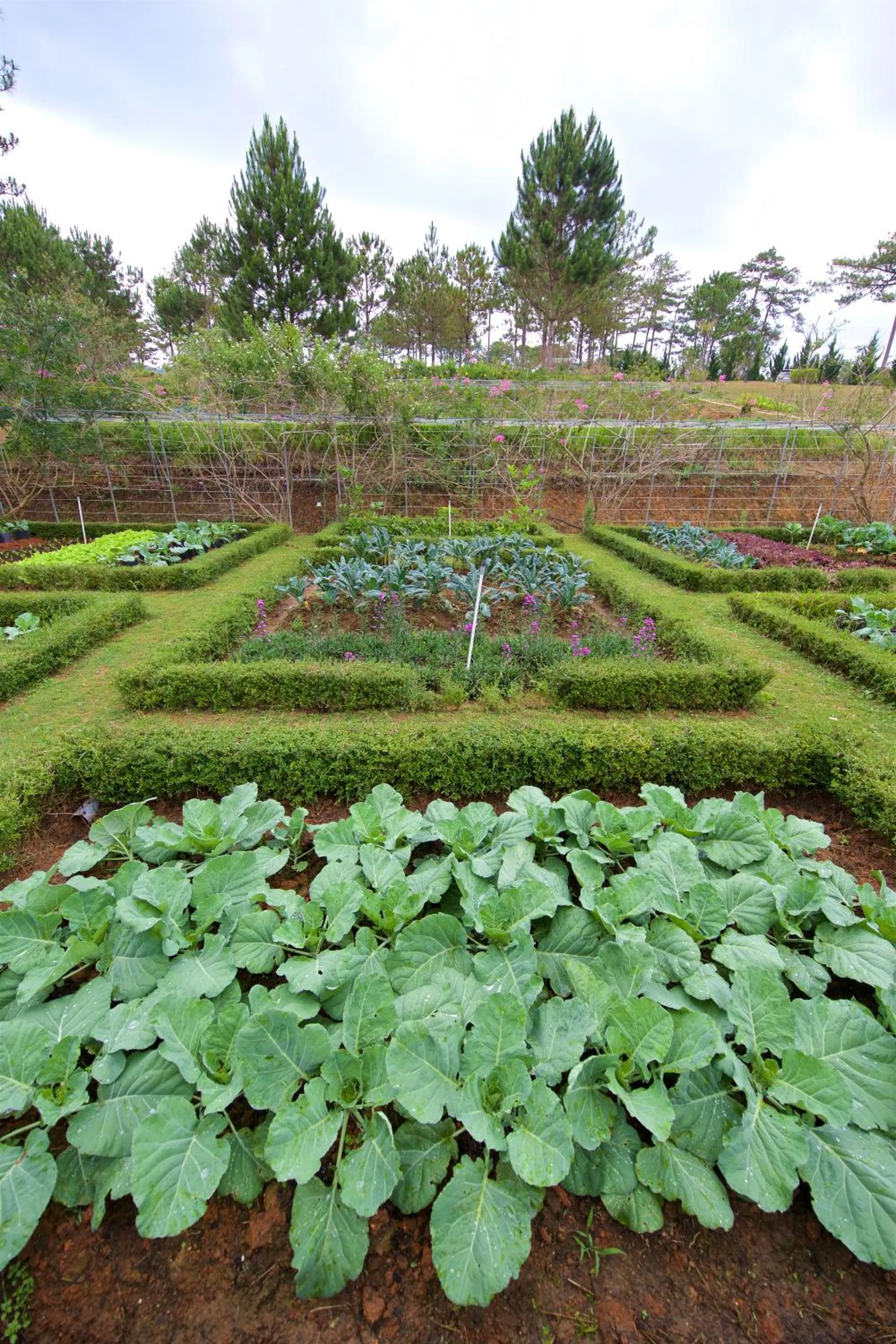 Garden in Binh An Village Resort