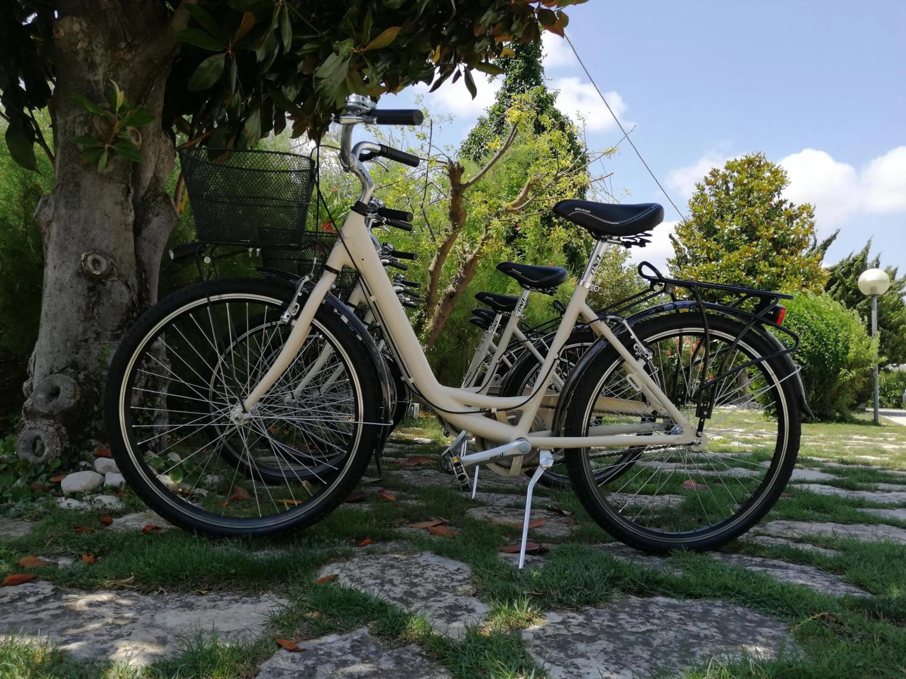 Area and facilities in Hotel Country House La Radice