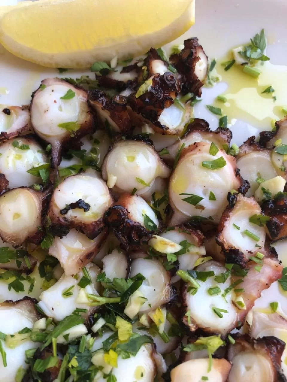 Restaurant/places to eat in Hotel Casablanca