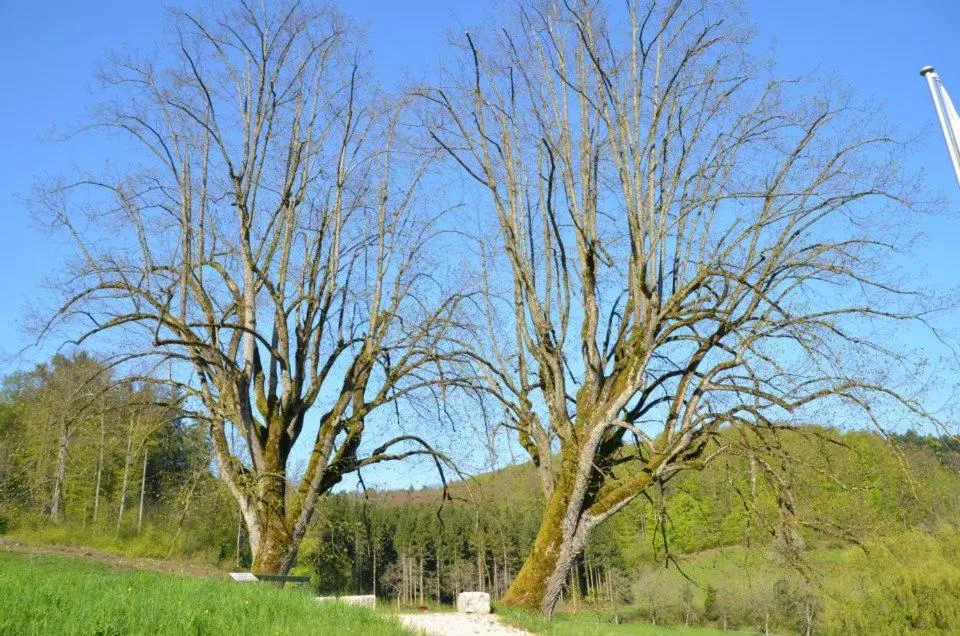 Day in Bad Schauenburg