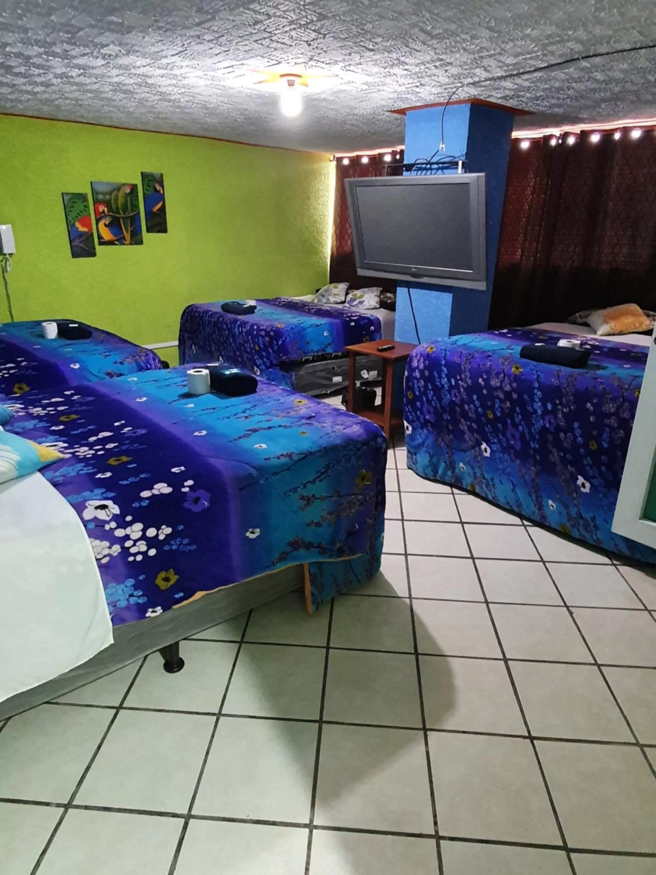 Photo of the whole room in hotel kasa kamelot 2