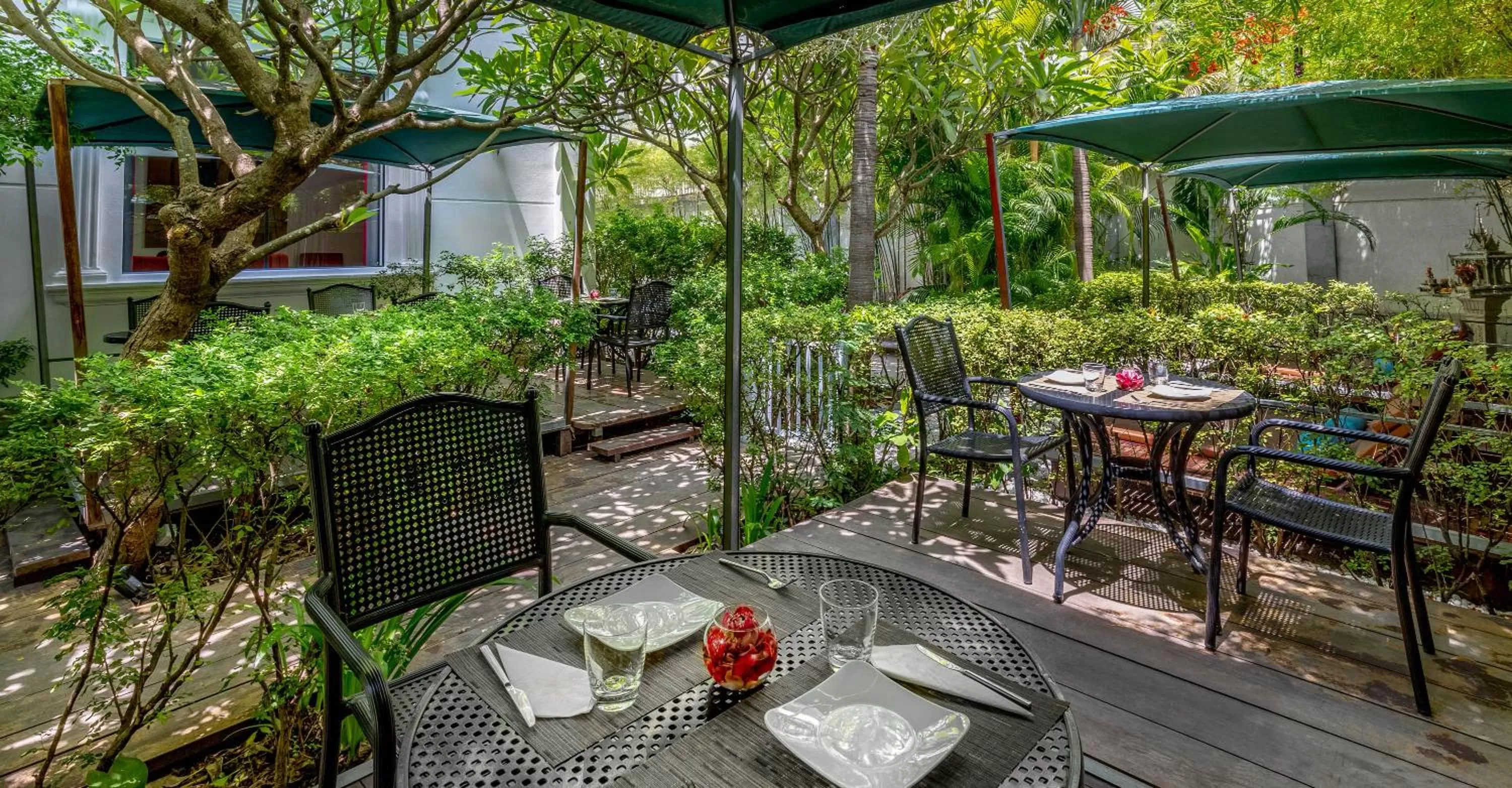 Garden in White Mansion 白色公馆