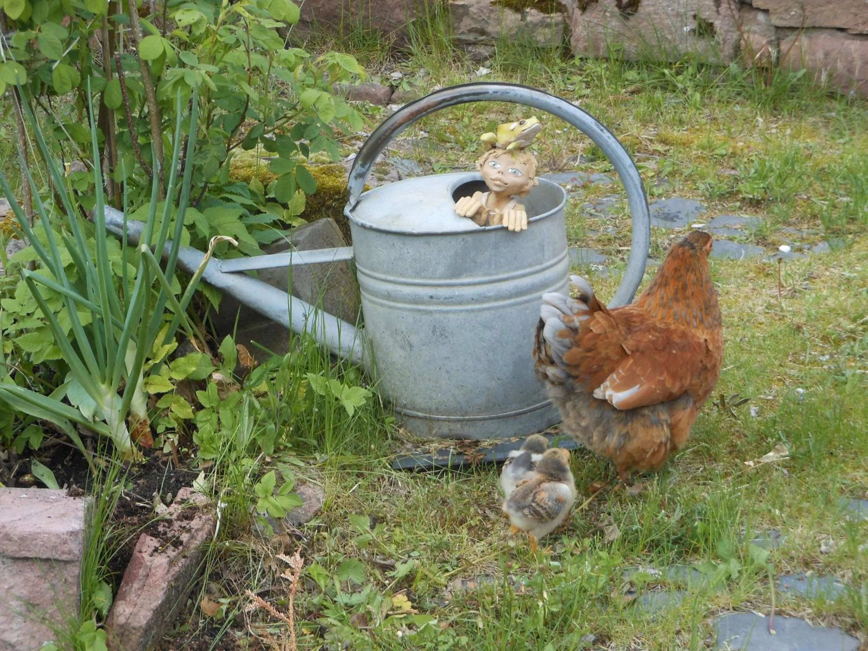Garden in L'Atelier de Gisèle