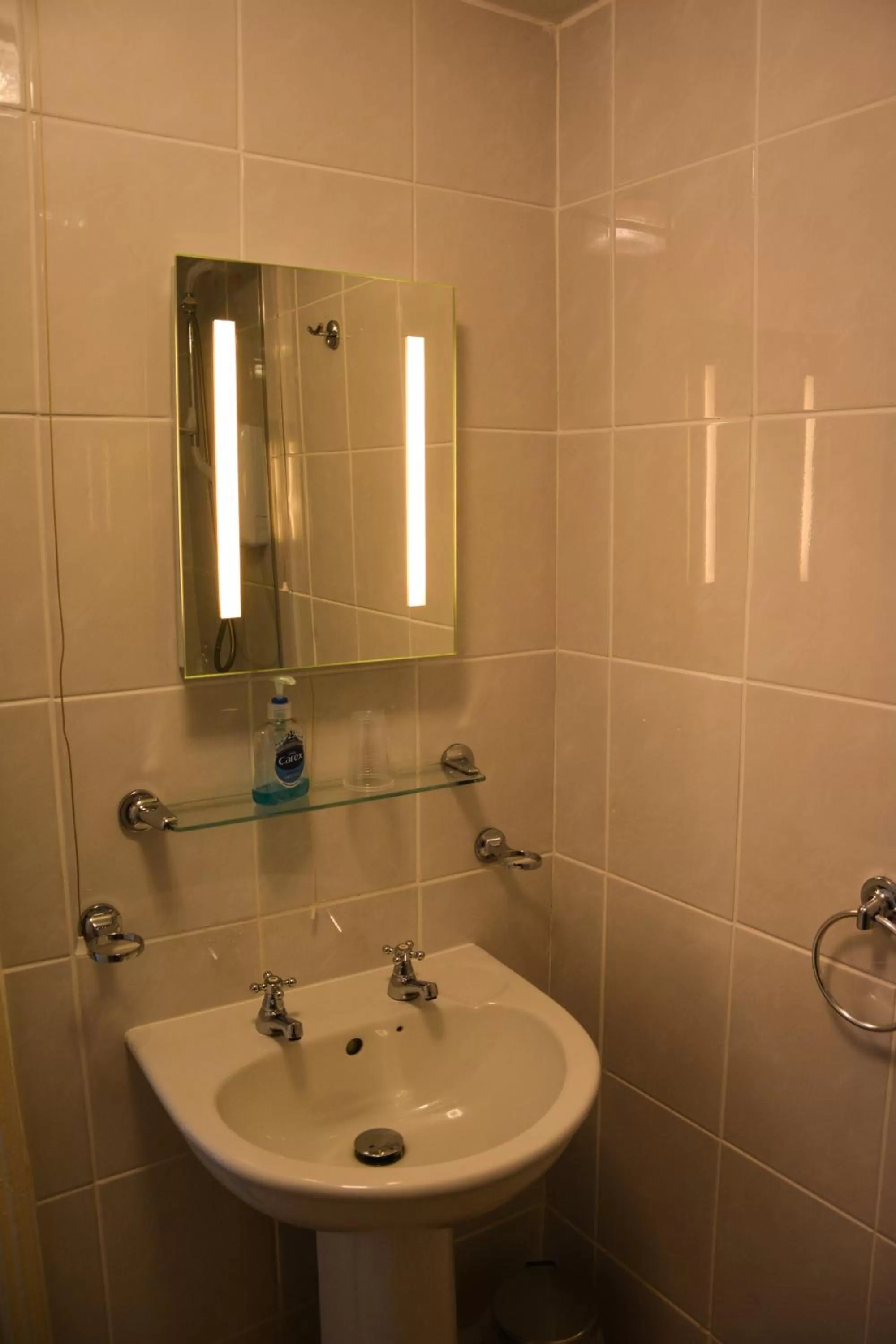 Shower in Llanerch Inn