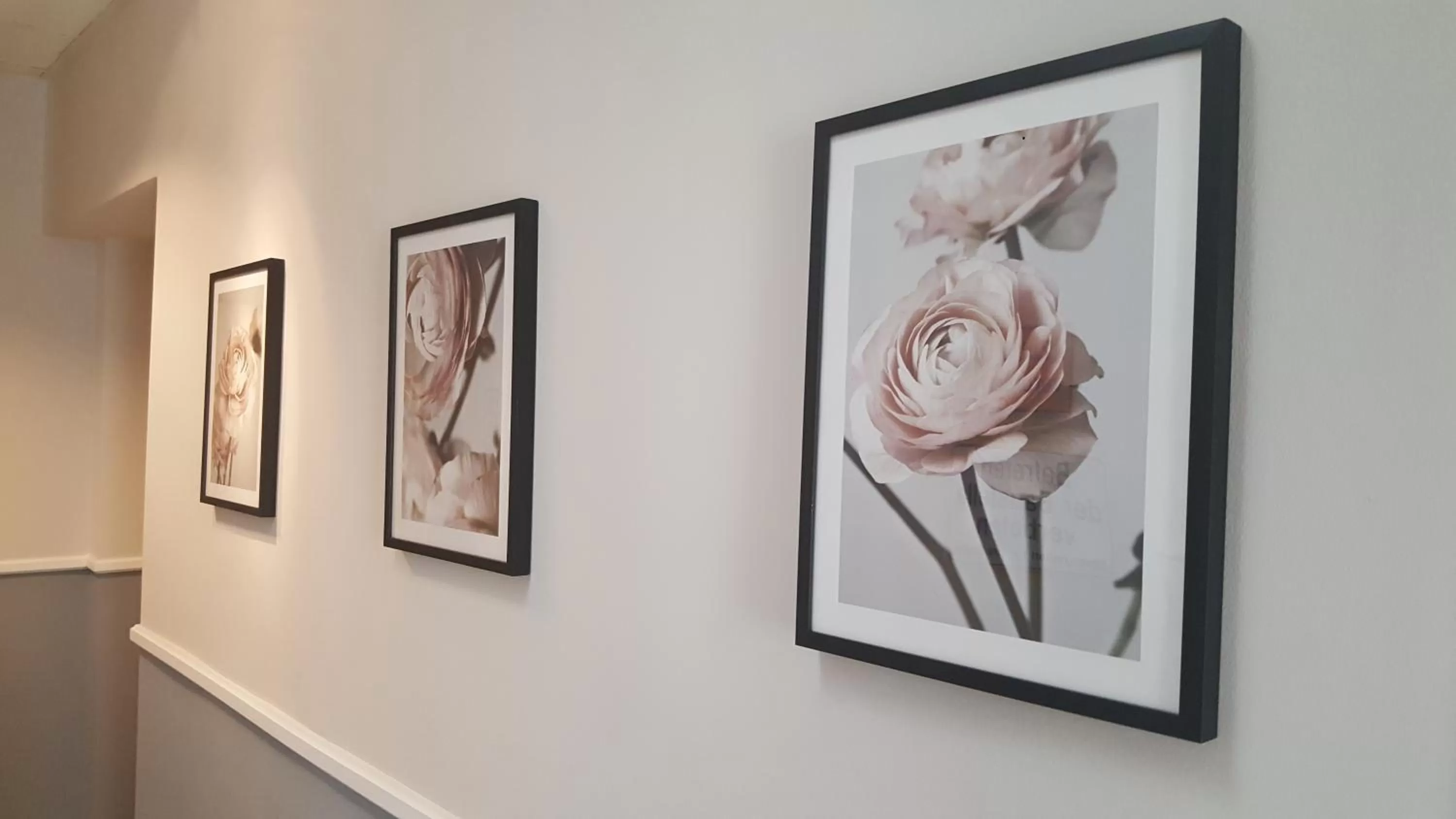 Area and facilities in Boutique Hotel Kugel Wien