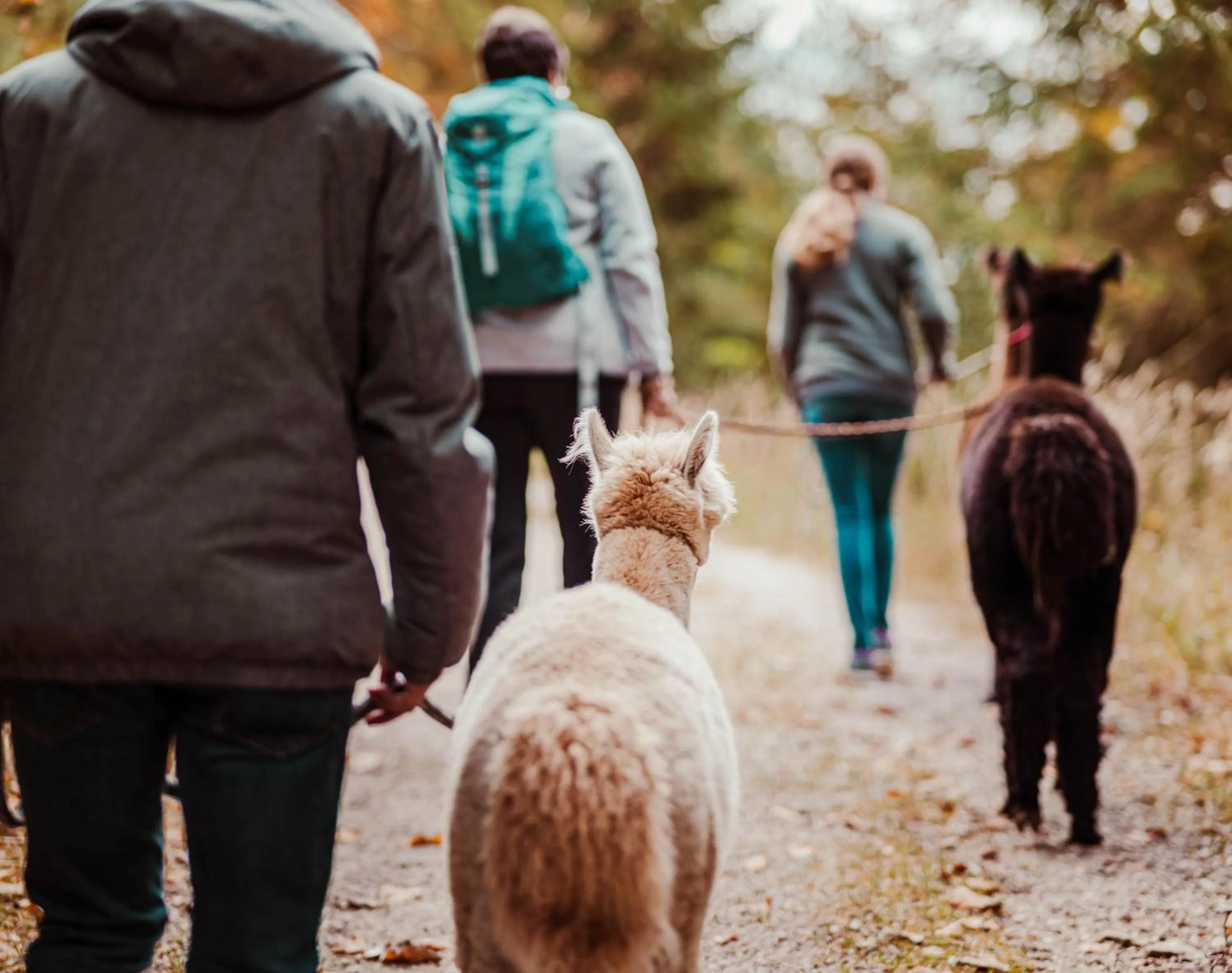 Spring in Hotel St. Georg zum See