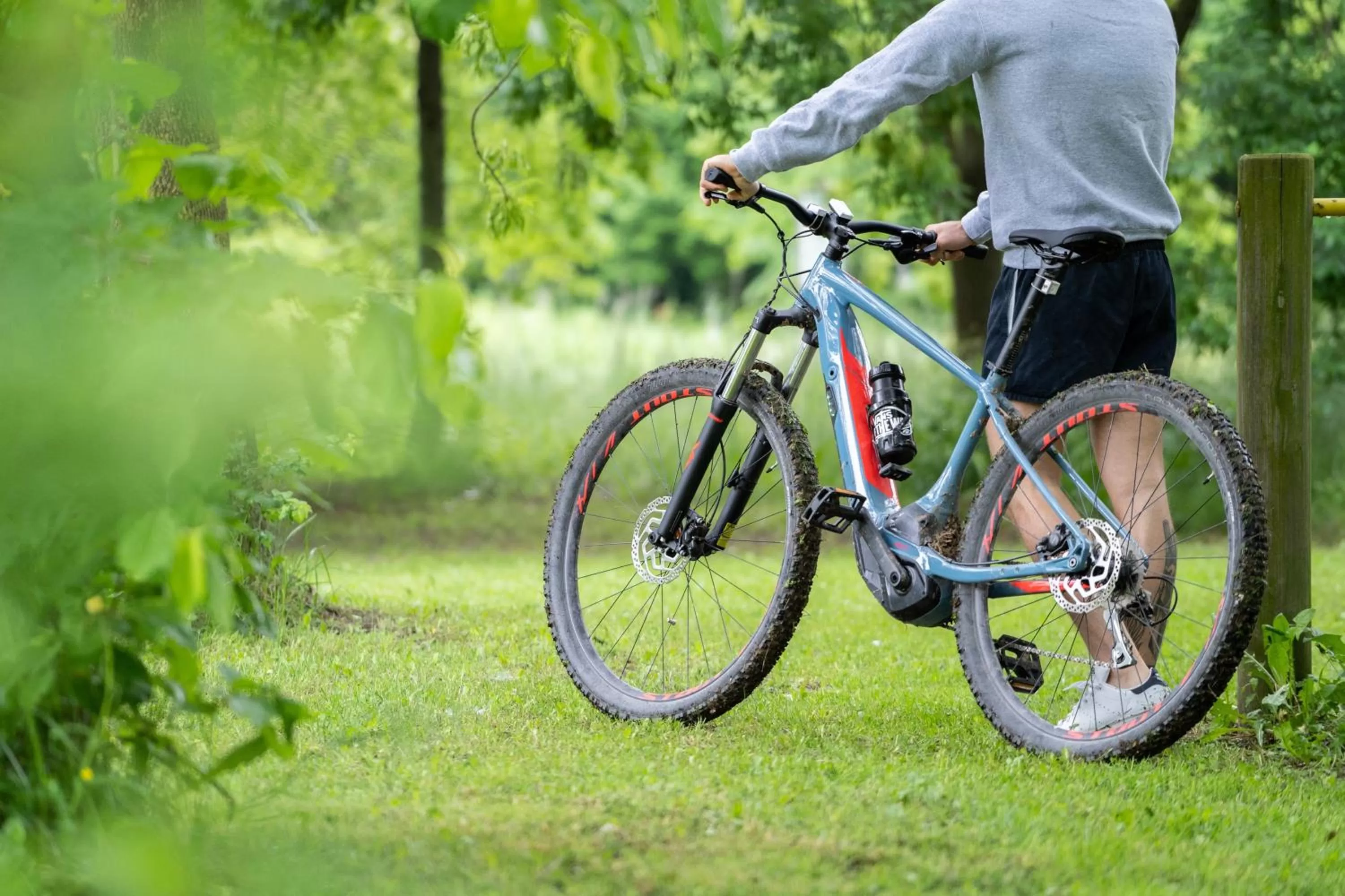 Garden in Hotel Terme Delle Nazioni