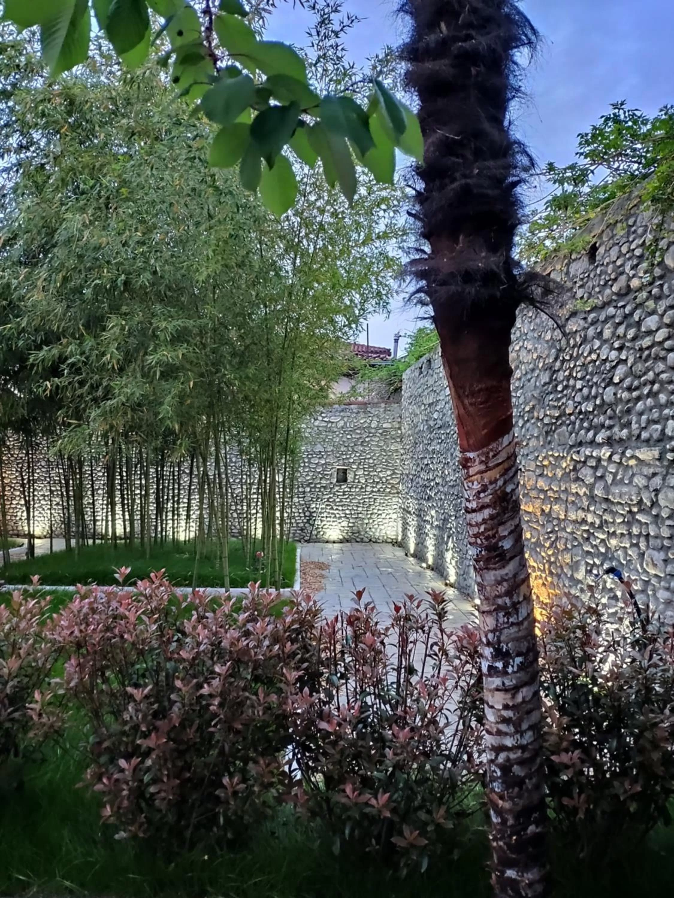 Garden in Hotel TREVA