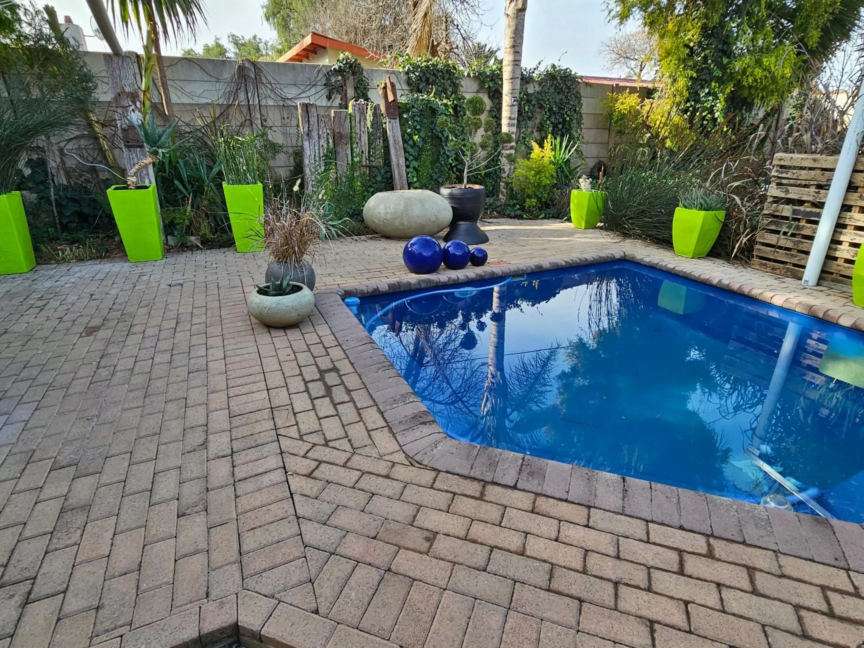 Garden, Swimming Pool in 51on Church