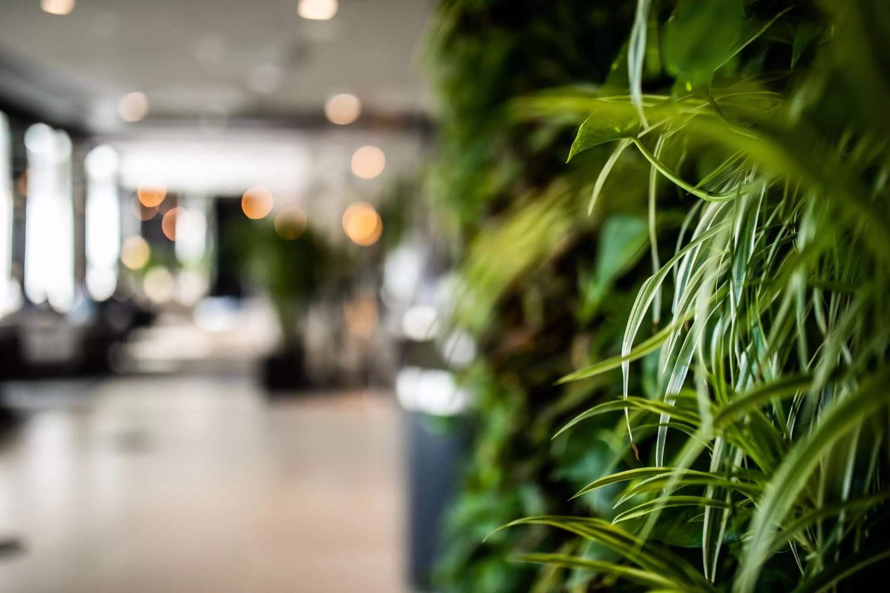 Lobby or reception in GRANO HOTEL Gdańsk Old Town