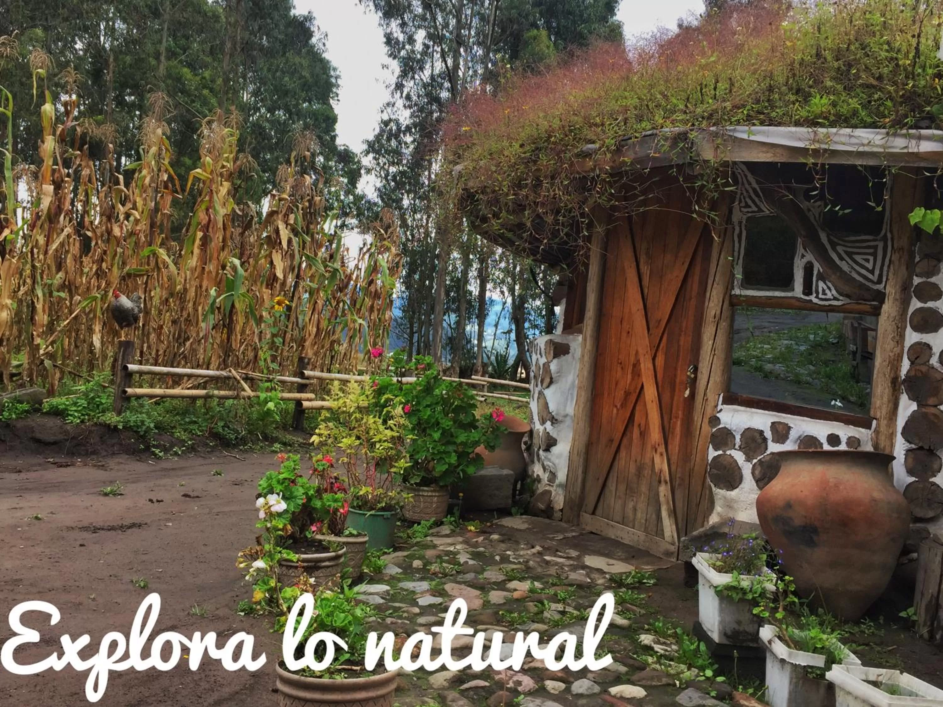 Facade/entrance in El Tio Hostal