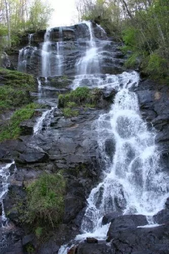 Nearby landmark in Super 8 by Wyndham Dawsonville