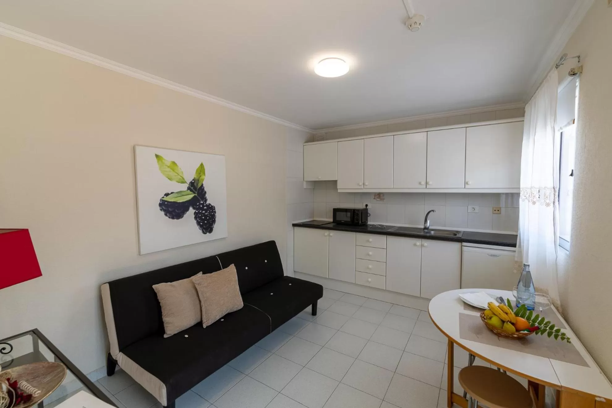 Kitchen or kitchenette in Hotel Marte