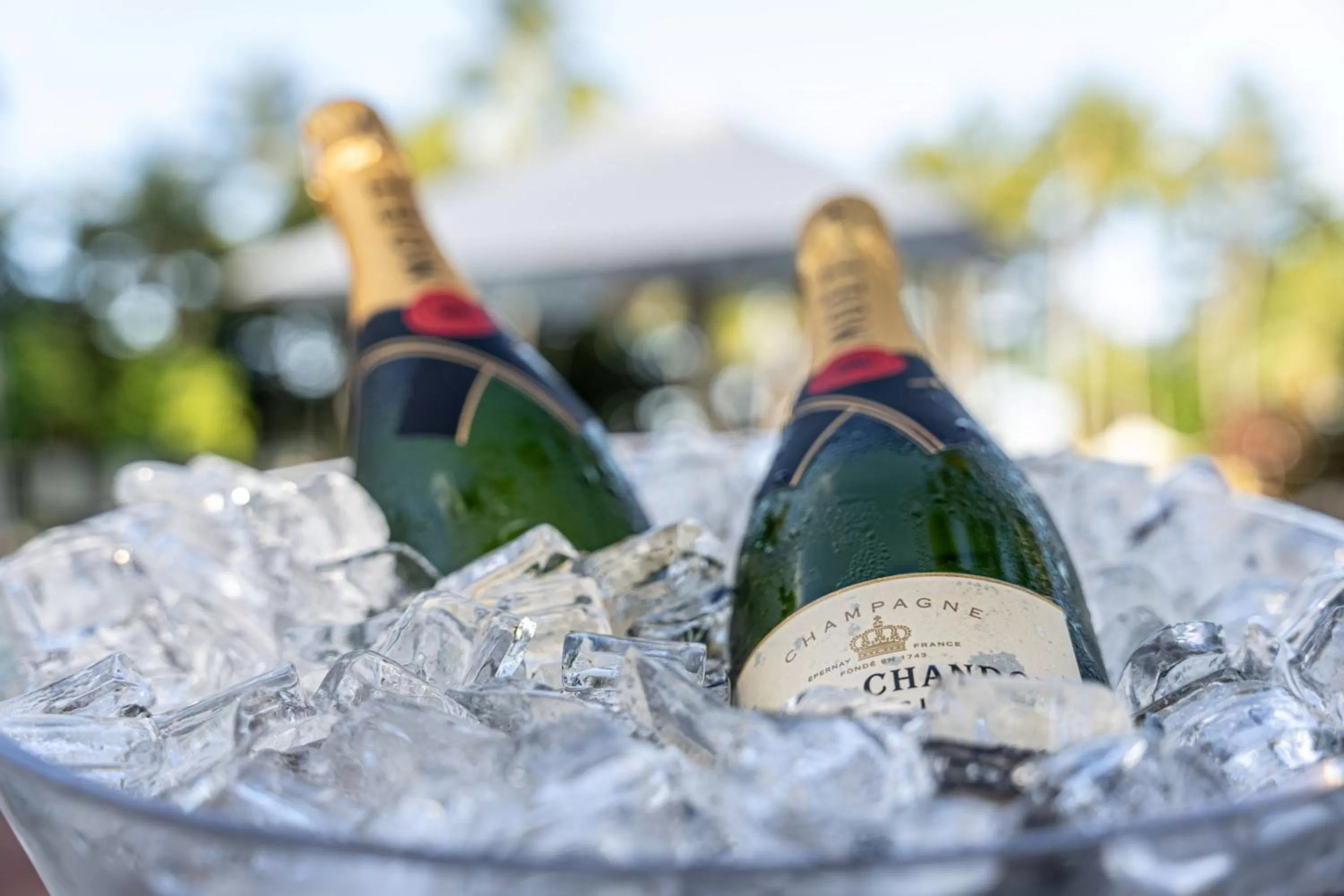 Other in Sheraton Grand Mirage Resort, Port Douglas