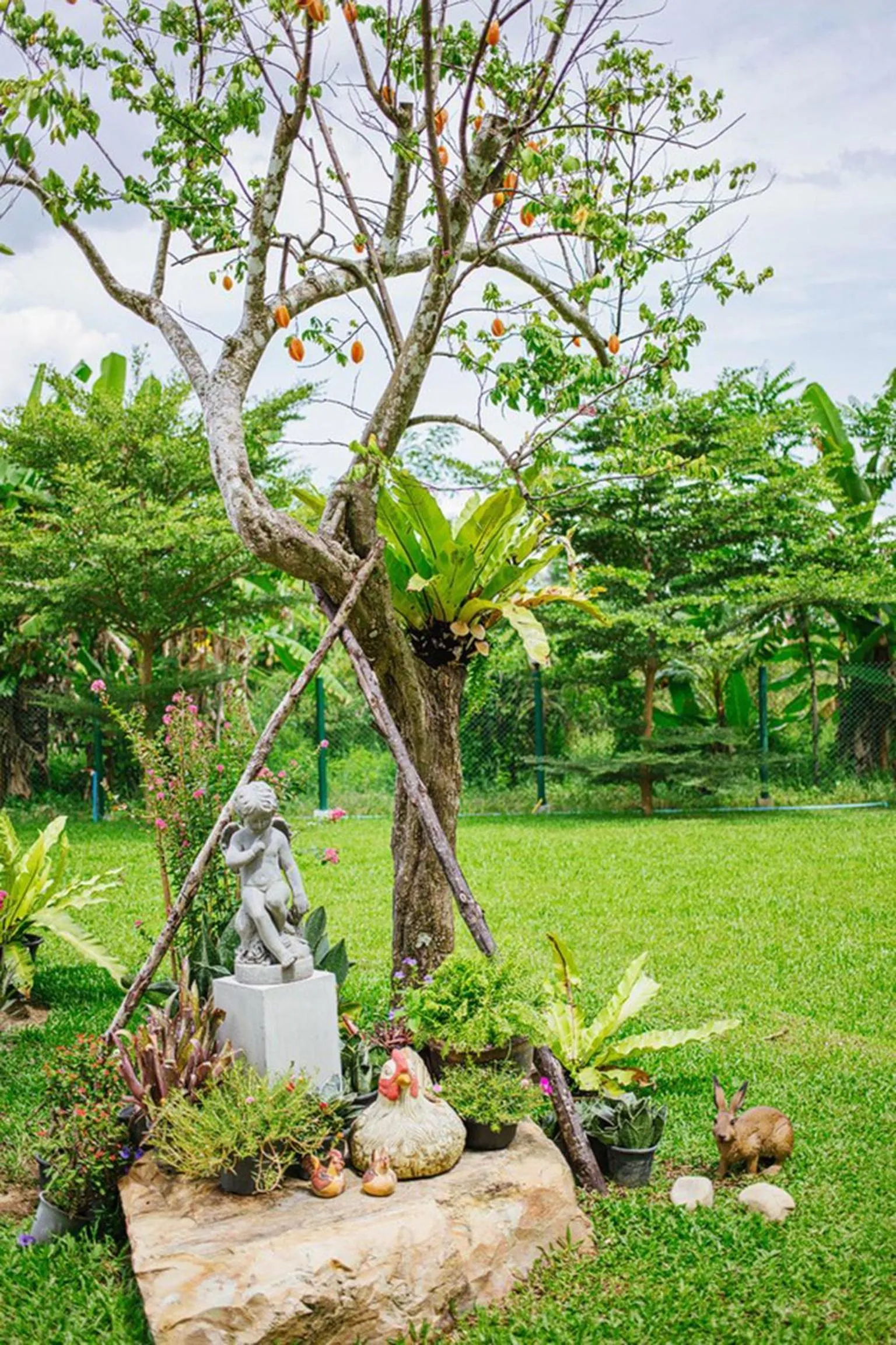 Garden in The Terrace Hotel