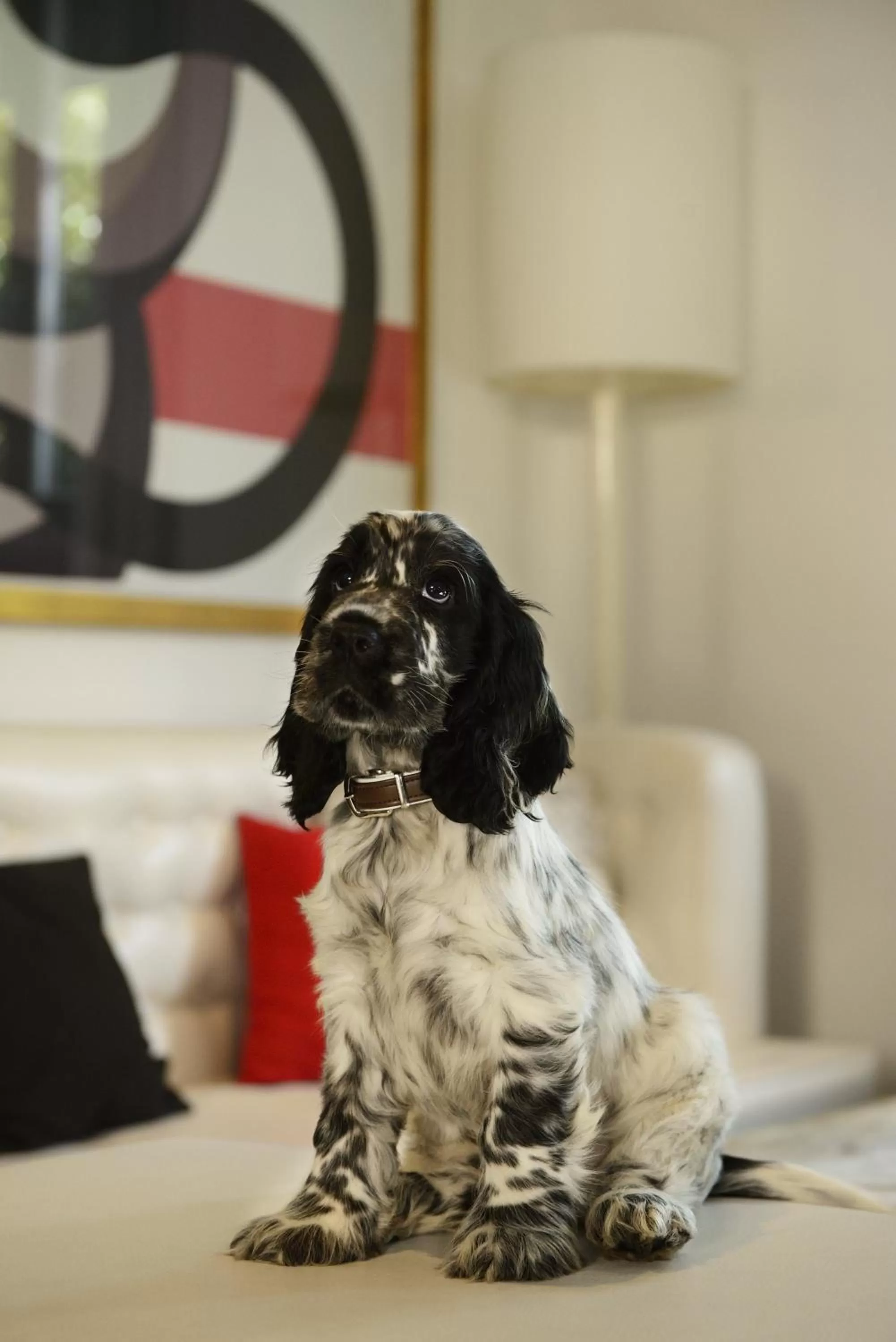 Other in Hotel Pulitzer