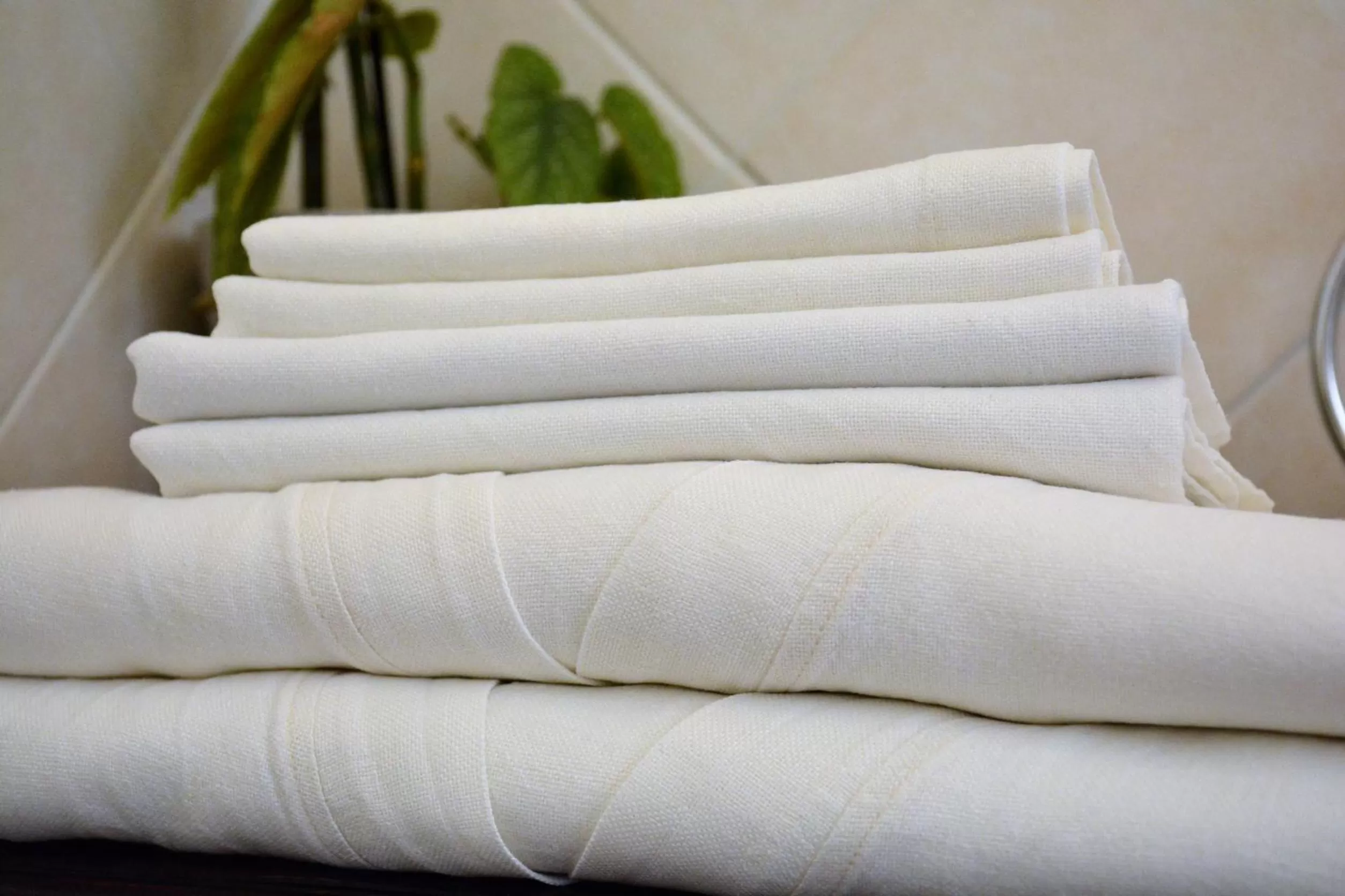 Bathroom in B&B Fashion style