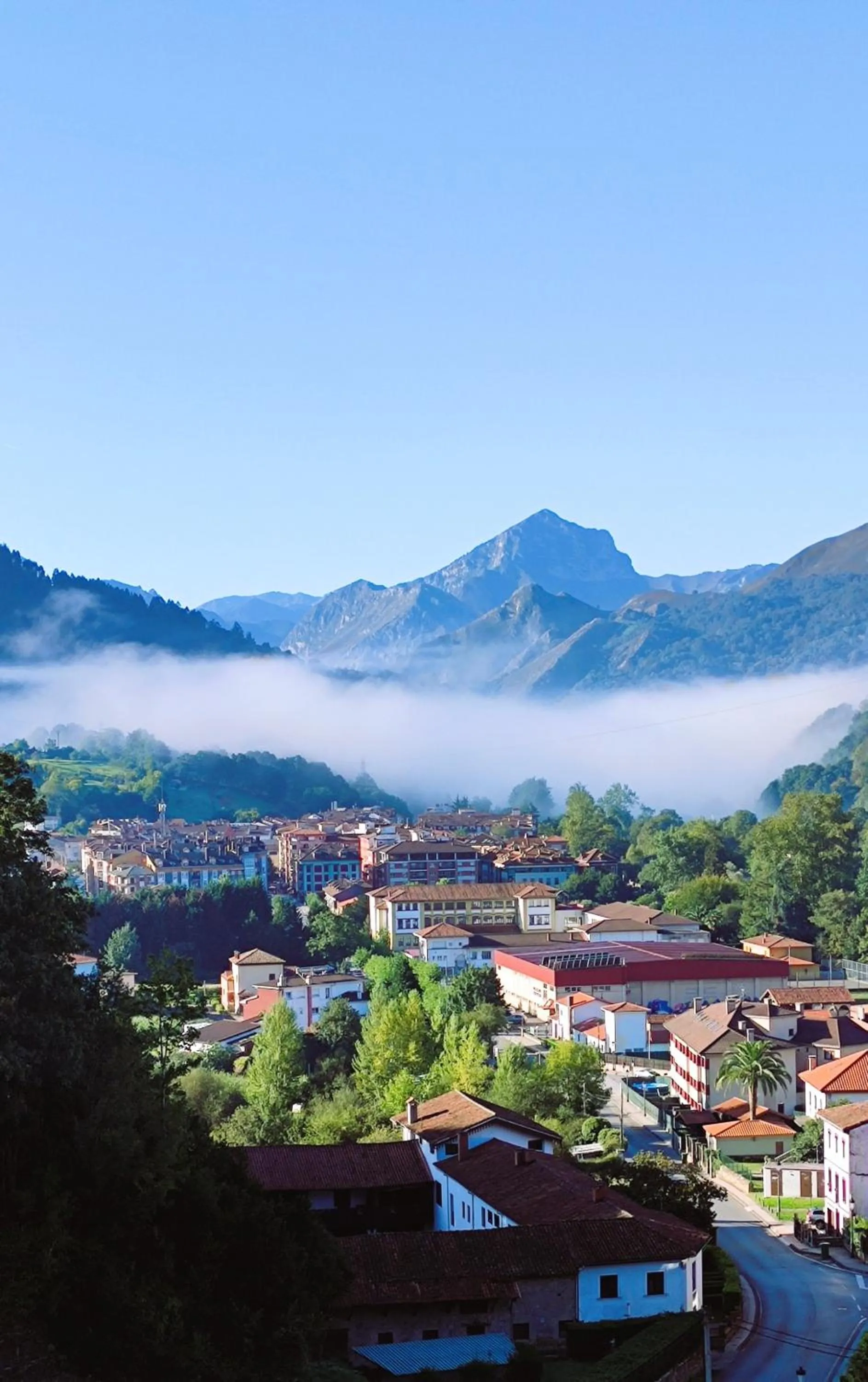 View (from property/room) in Hotel Mirador de la Cepada