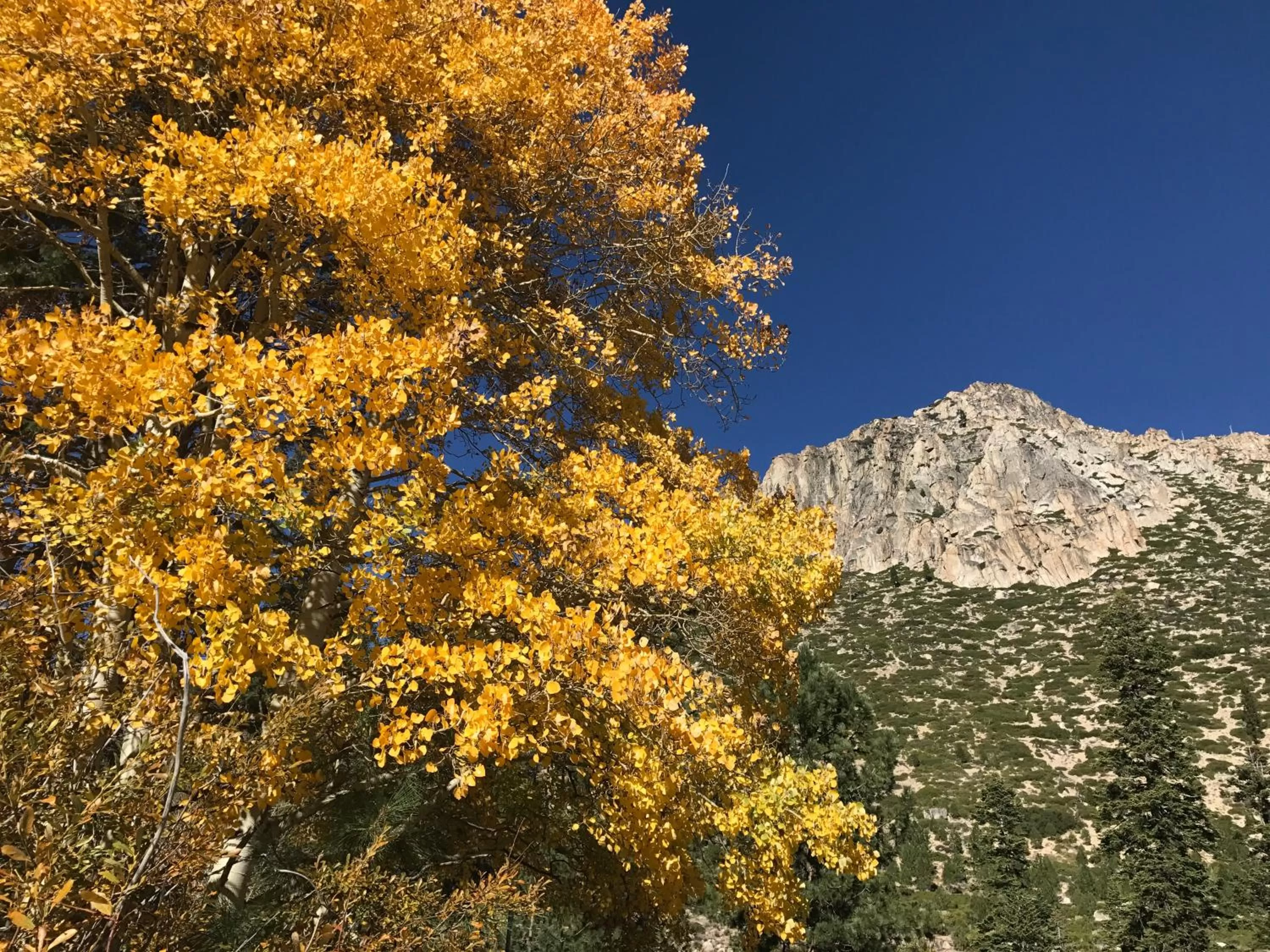 Other in Paradice Motel