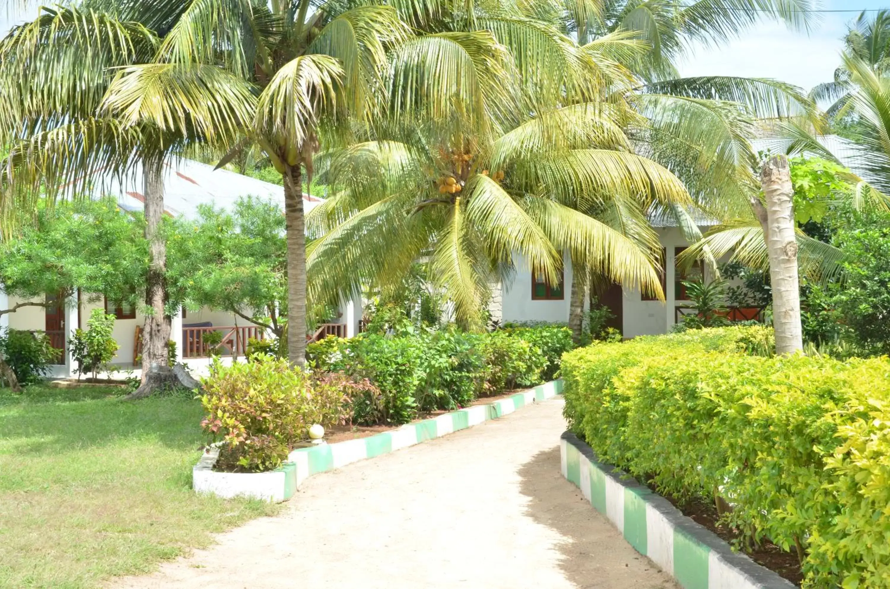 Garden in Bagamoyo Spice Villa Garden in Bagamoyo Spice Villa
