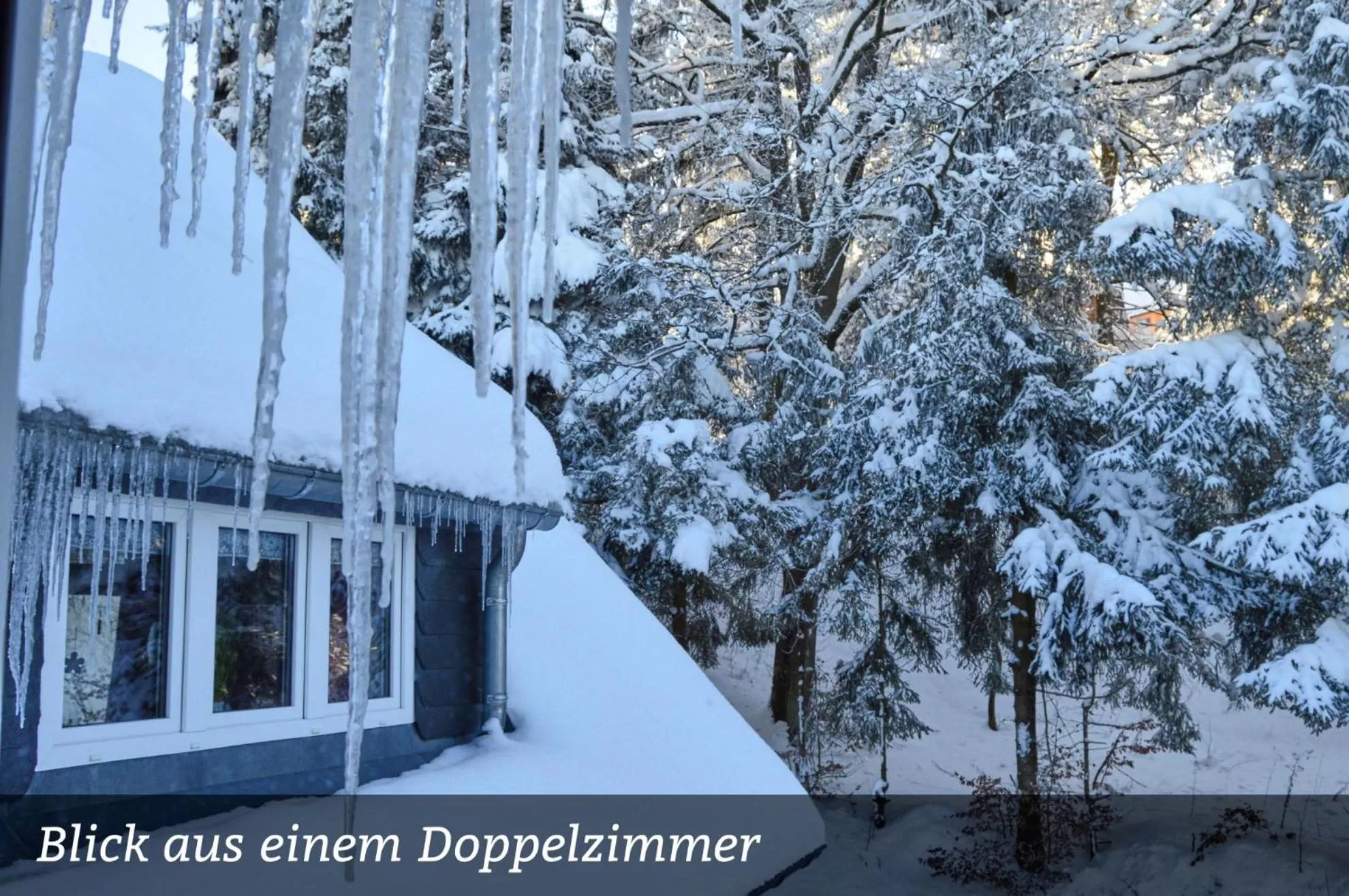 View (from property/room) in Erzgebirgshotel Misnia Bärenfels