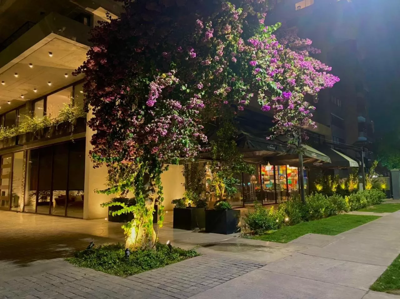 Property building in The Place