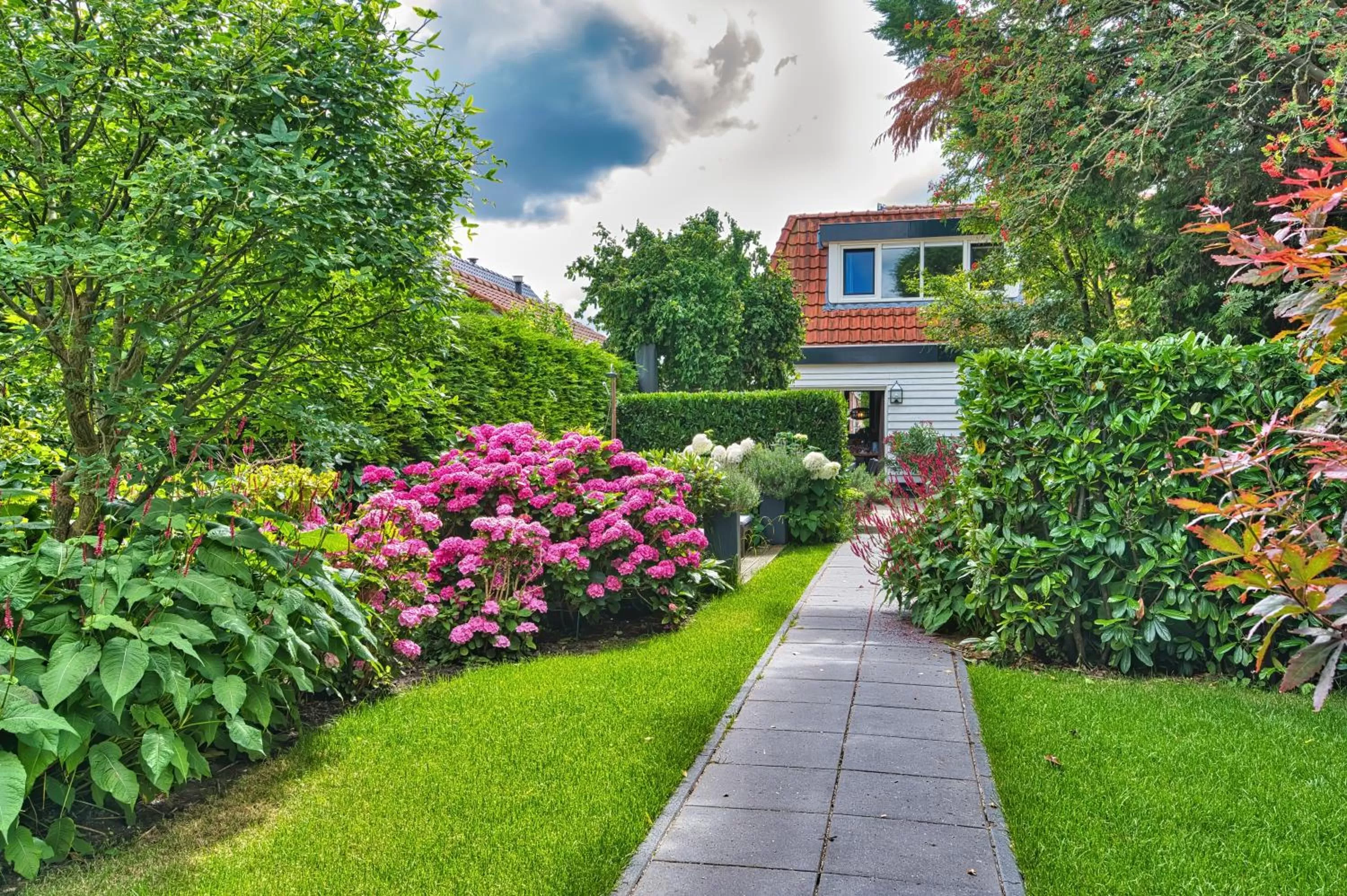 Garden in B&B Hoofddorp