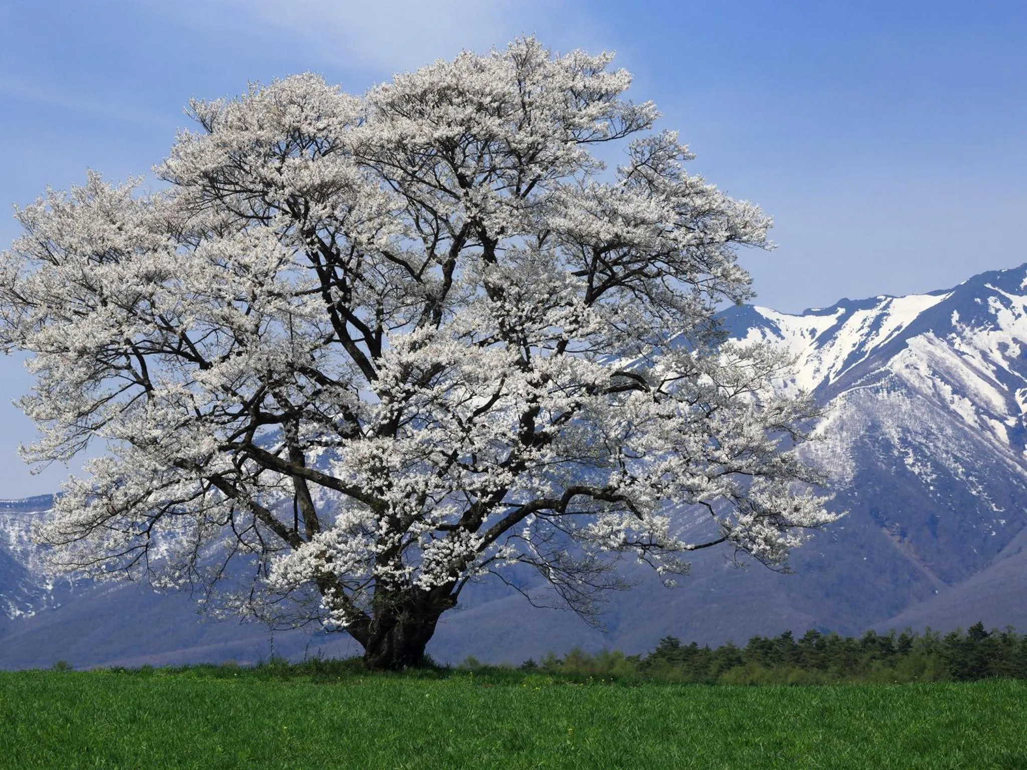 Nearby landmark in Hotel Pearl City Morioka