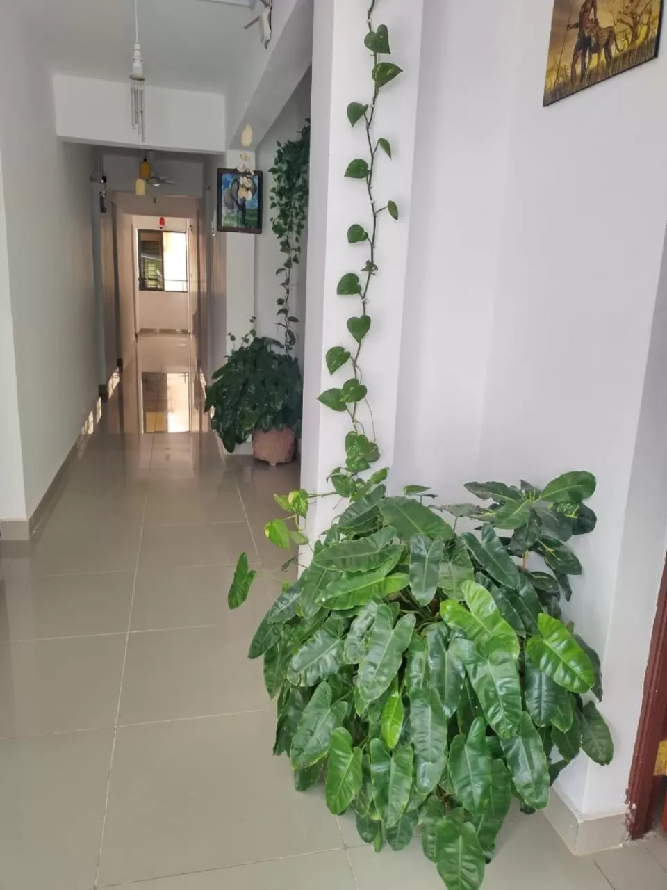 Decorative detail in 6 Park Retreat