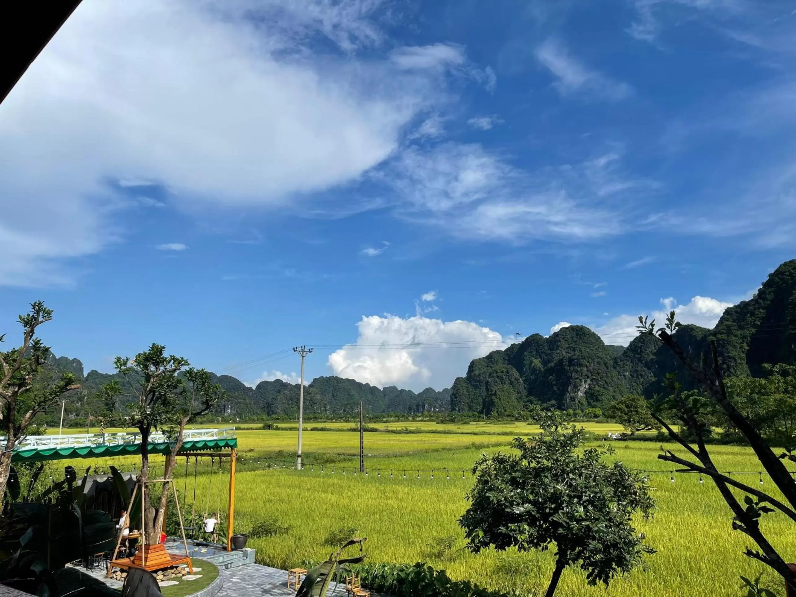 Natural landscape in Tam Coc Windy Fields