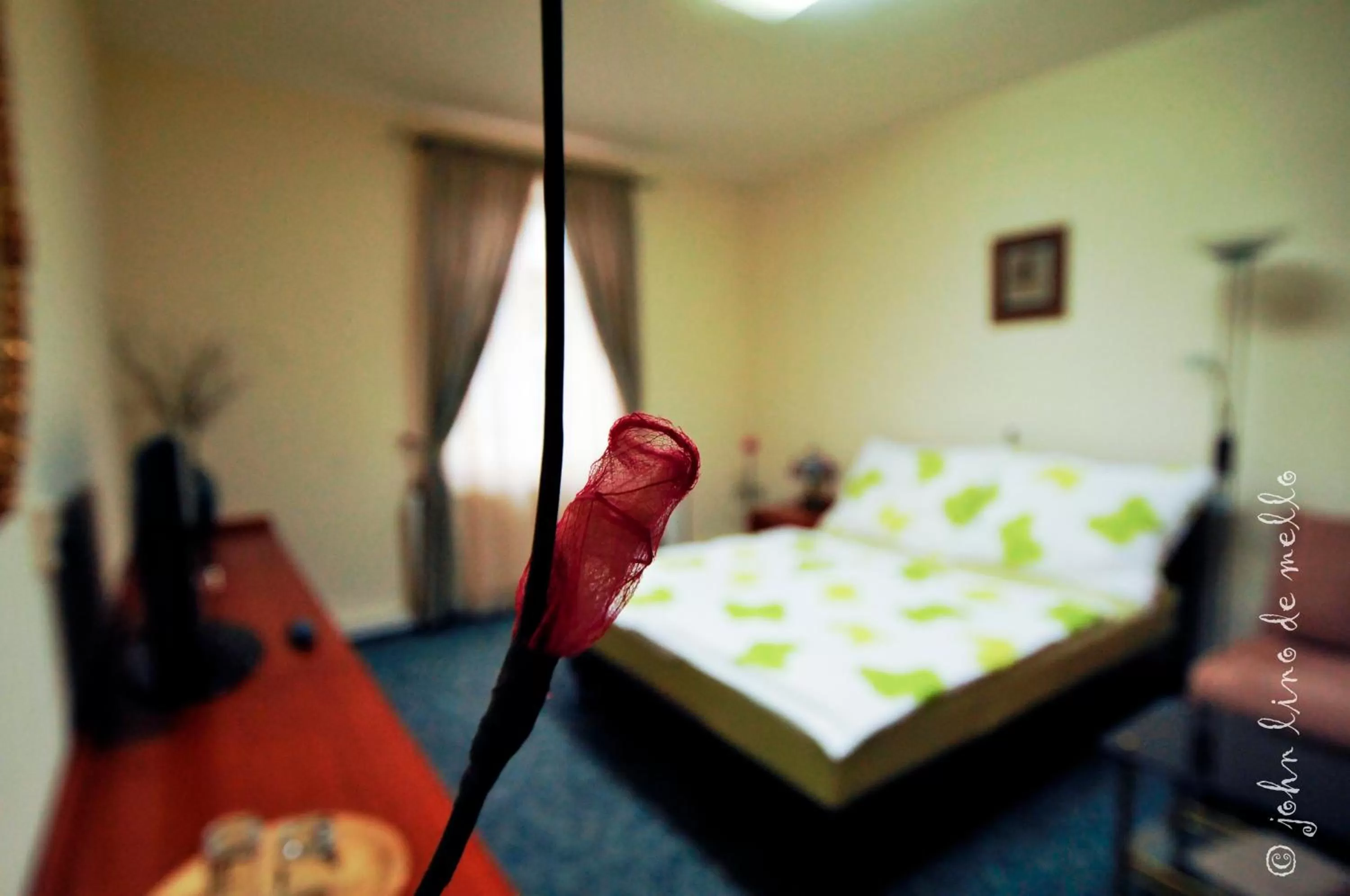 Photo of the whole room, Bed in Buda Panzió