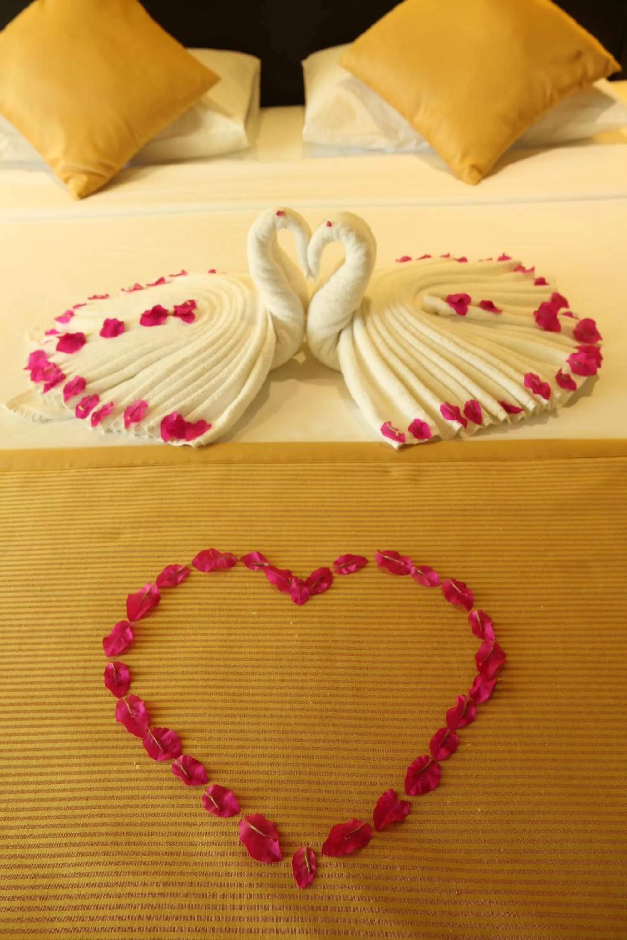 Bed in The Lakeside at Nuwarawewa