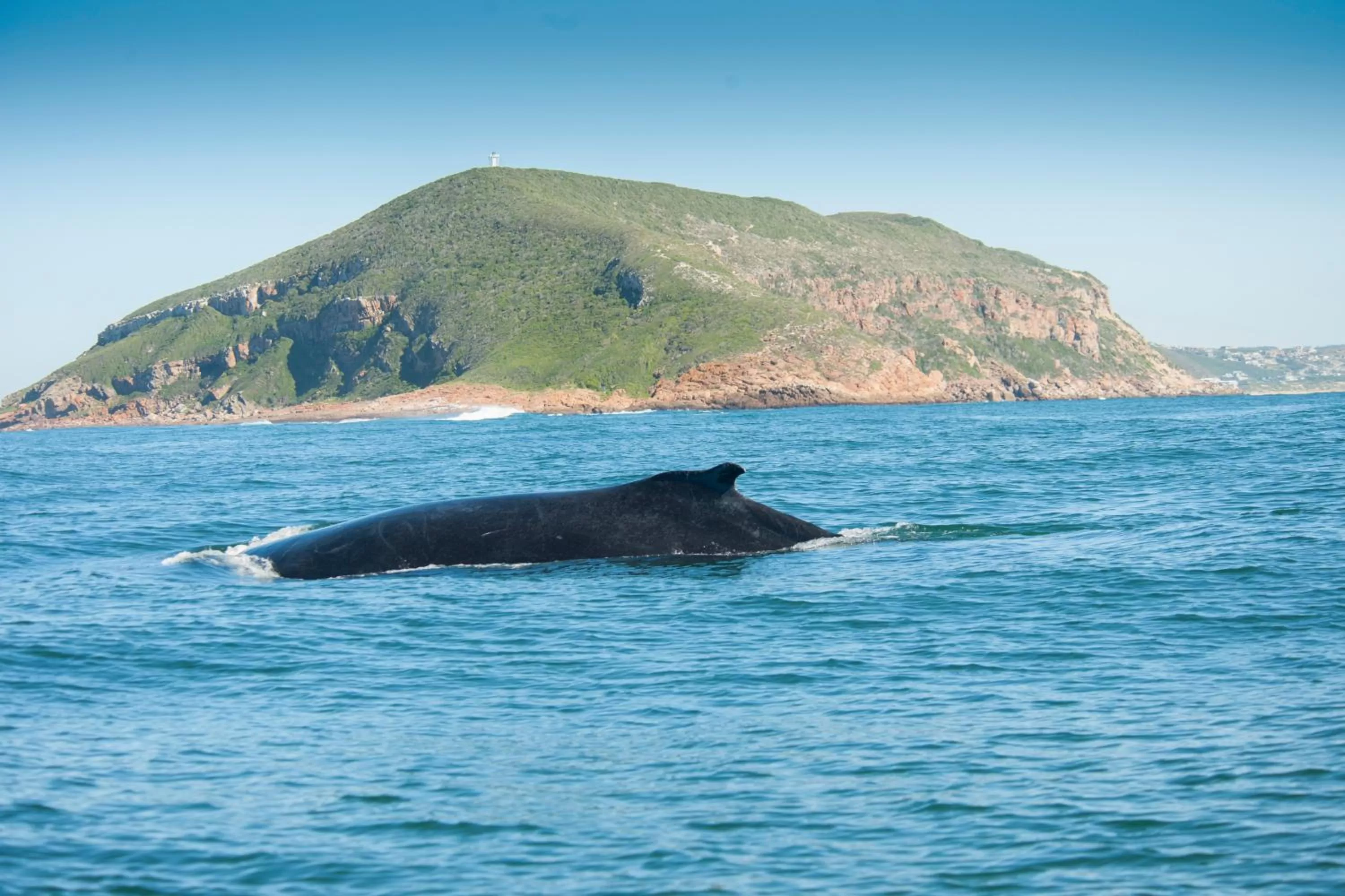 Beach in Panoramic Blue B&B