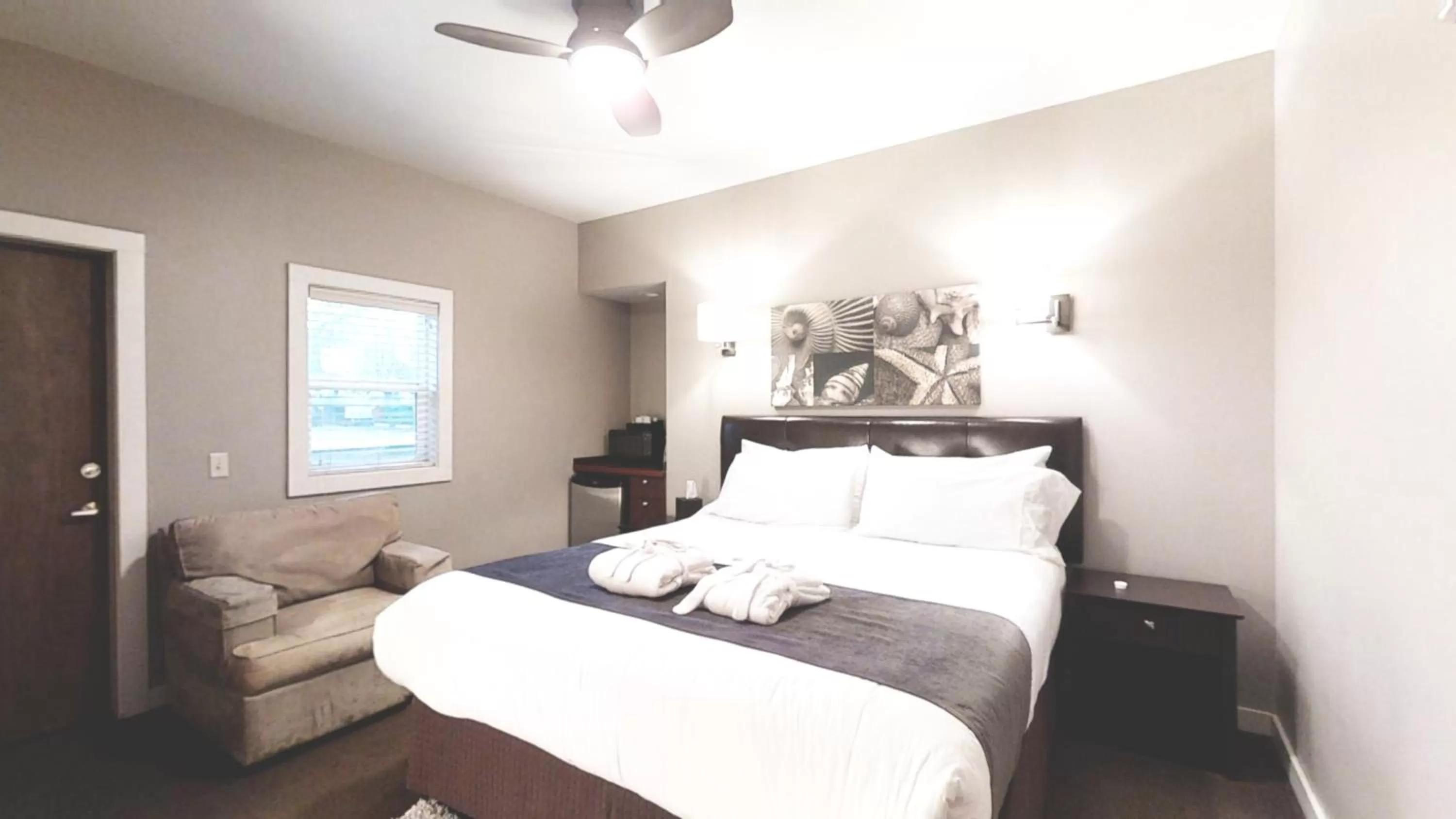 Standard King Room in Bird Rock Hotel