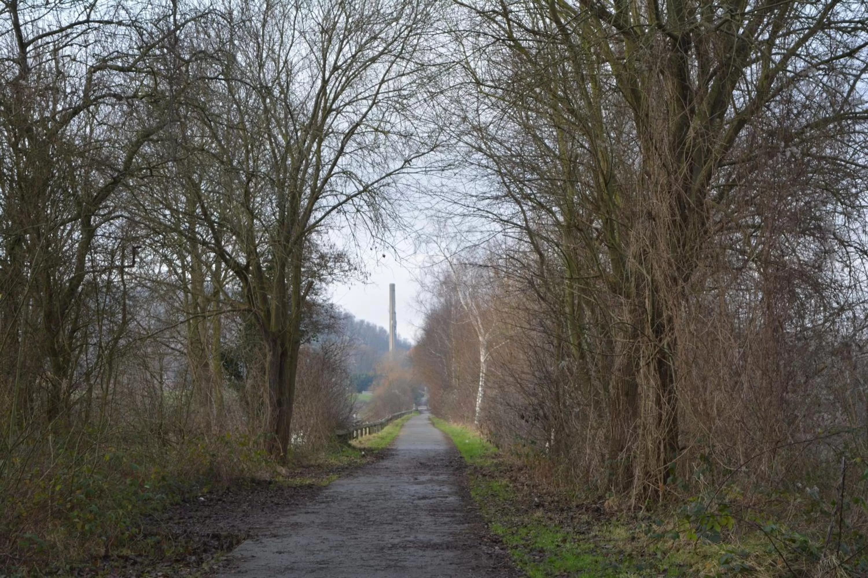 Natural landscape in B&B A la Malogne