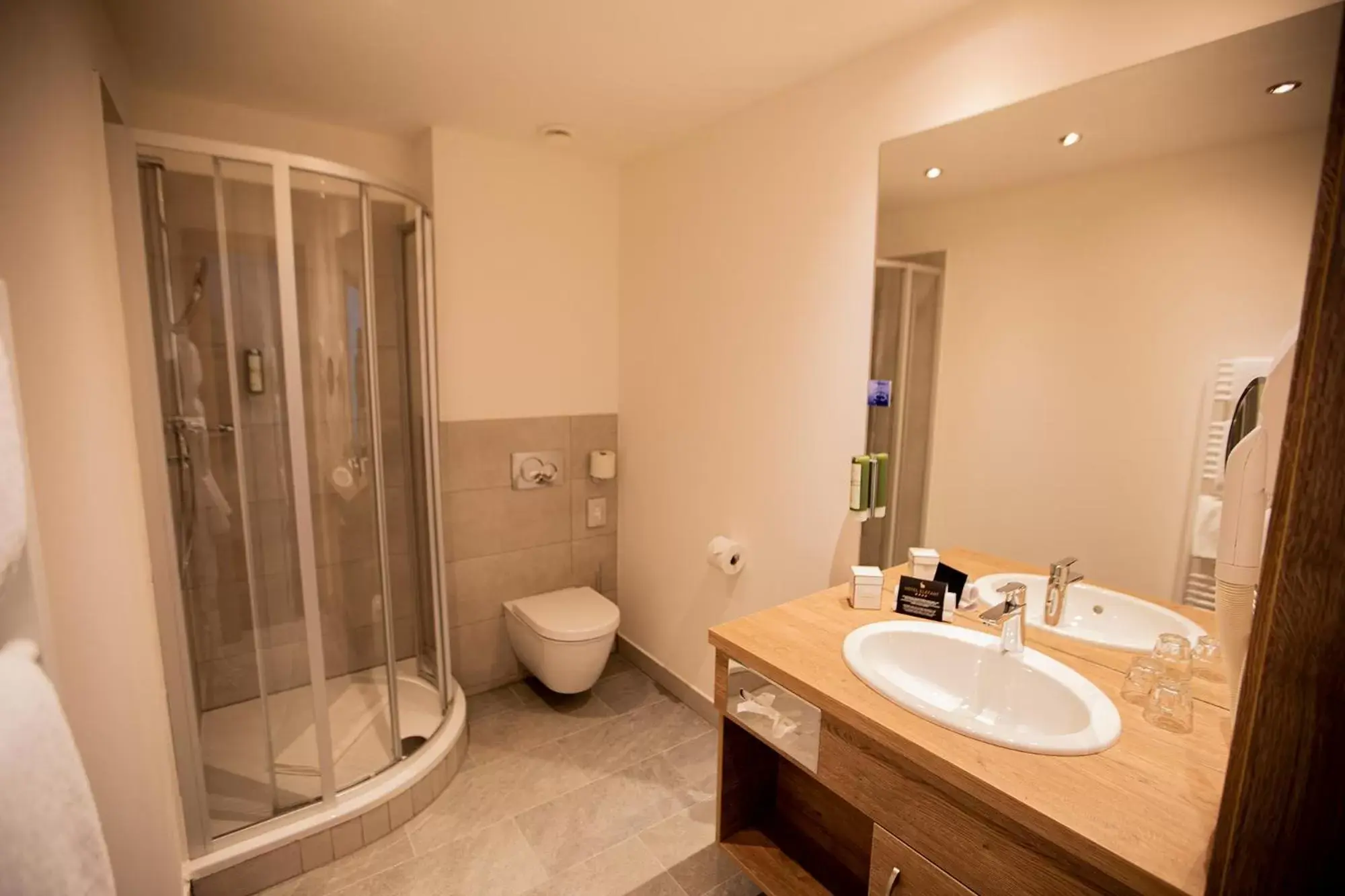 Standard Double Room in Hotel Elefant Family Business Standard Double Room in Hotel Elefant Family Business