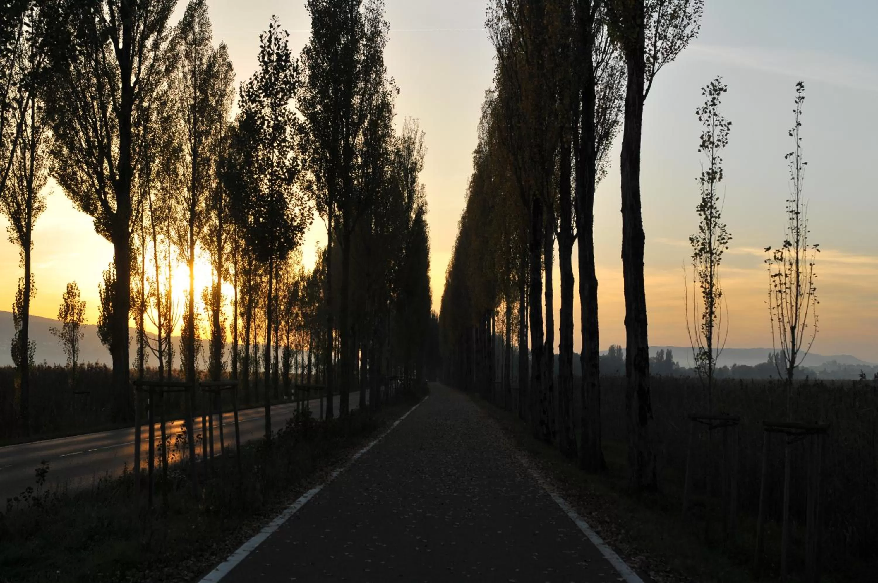 Natural landscape in Hotel mein inselglück
