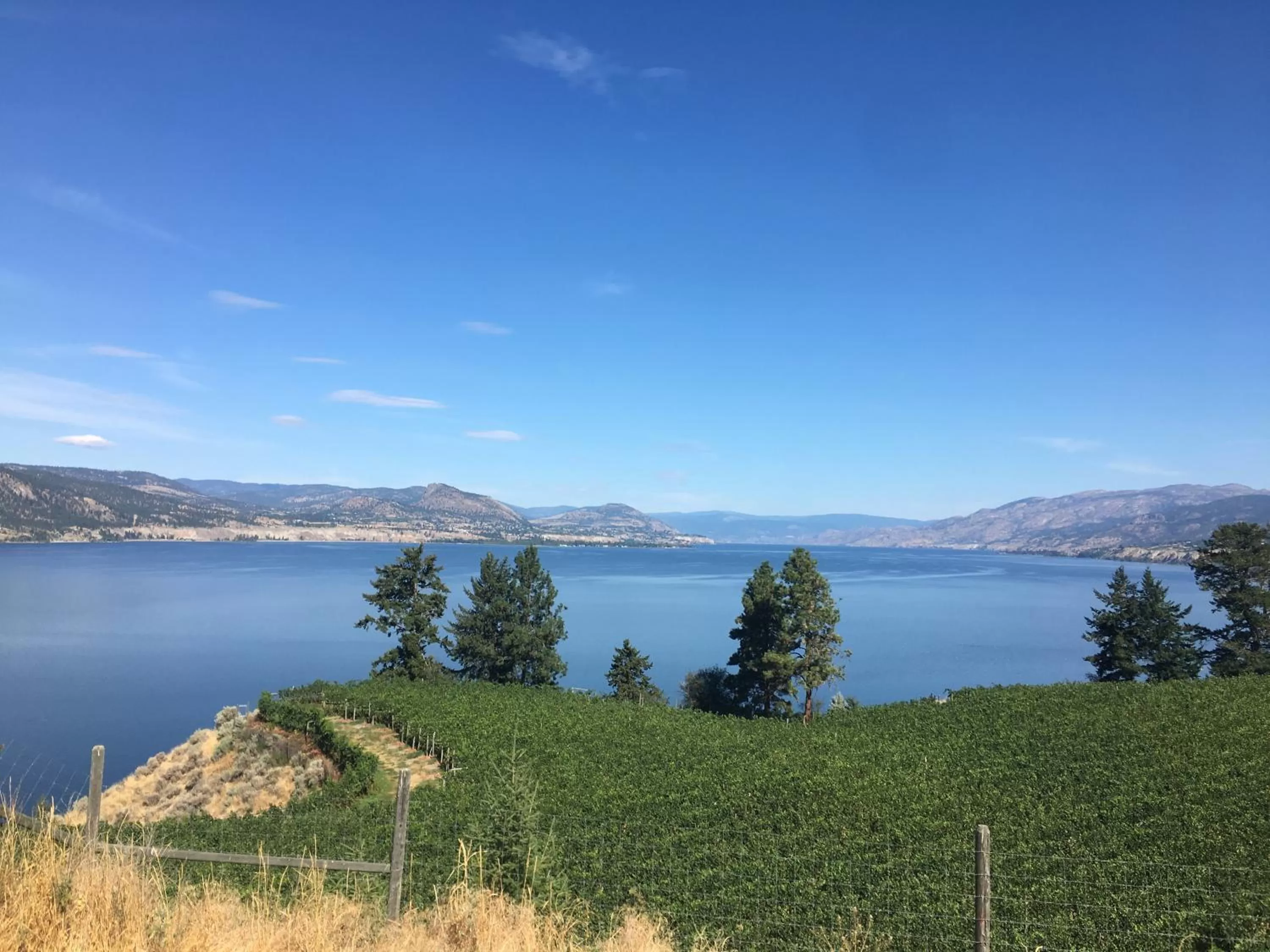 Day in Black Sea Motel