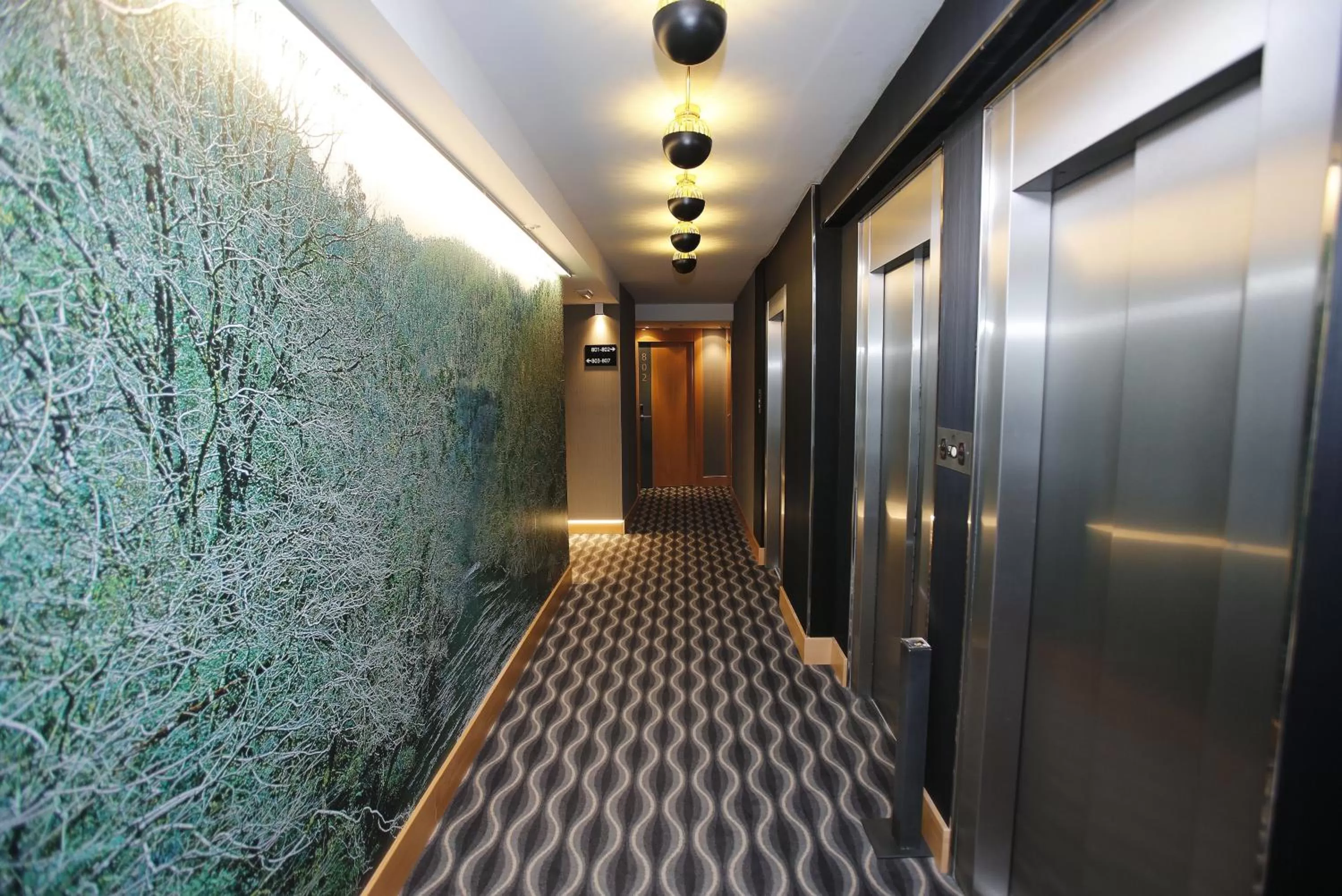 Area and facilities in Hotel Plaza