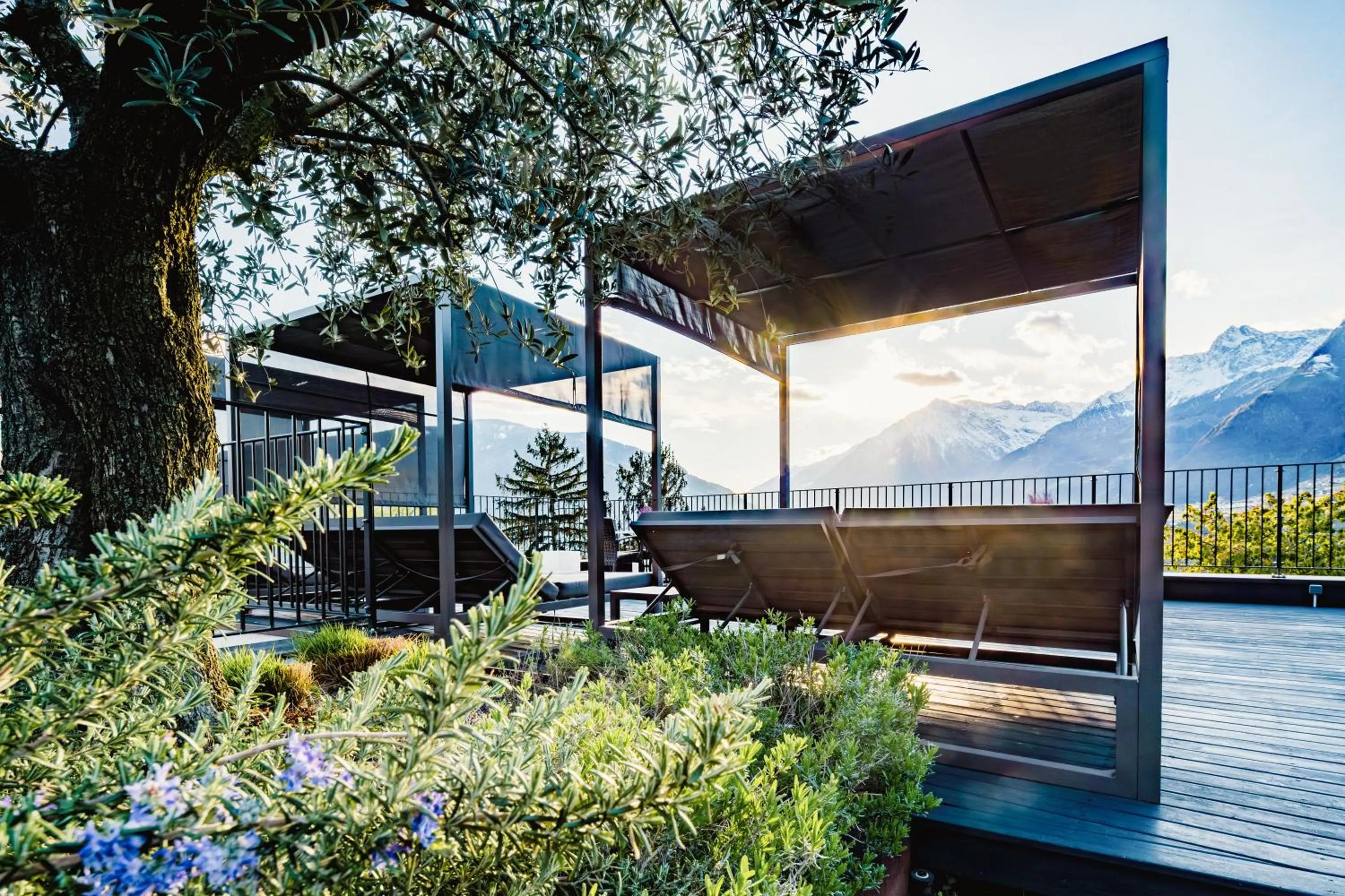 Garden in Hotel Der Weinmesser