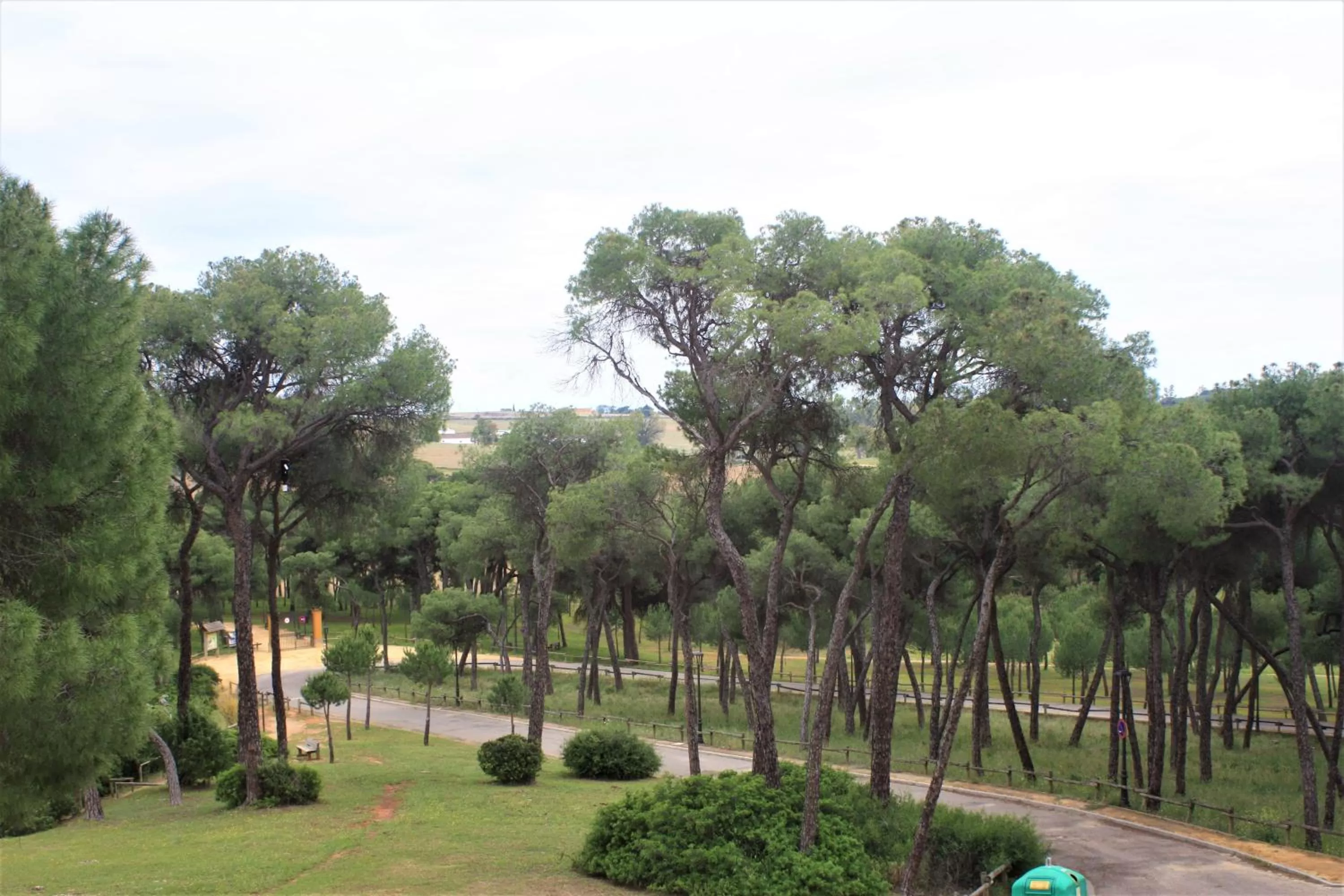 Spring in Hotel Oromana