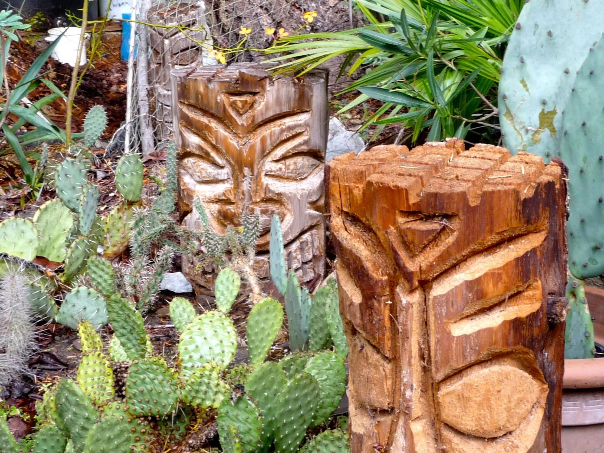 Other in Magnolia Petal